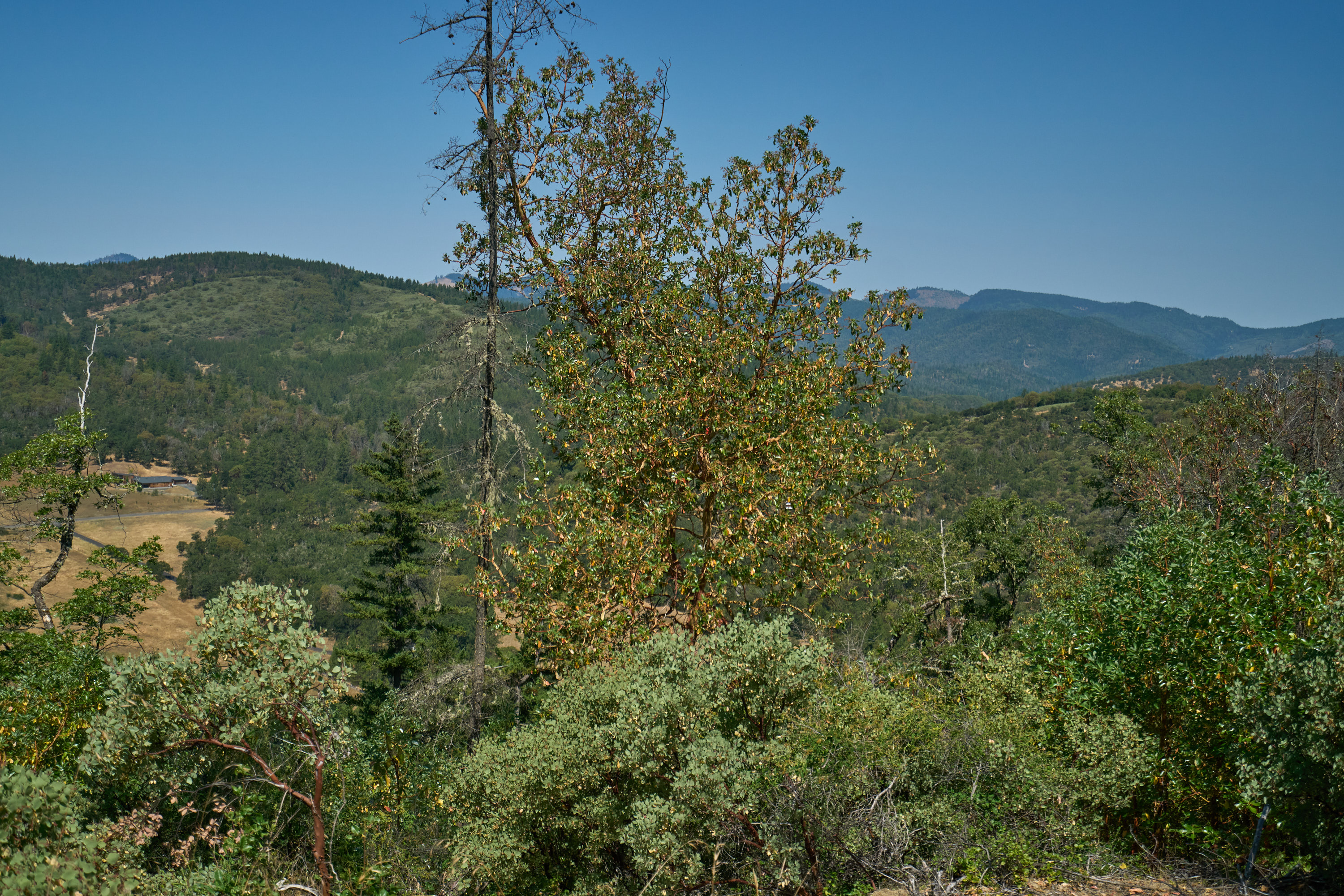 2527 Sterling Creek Road