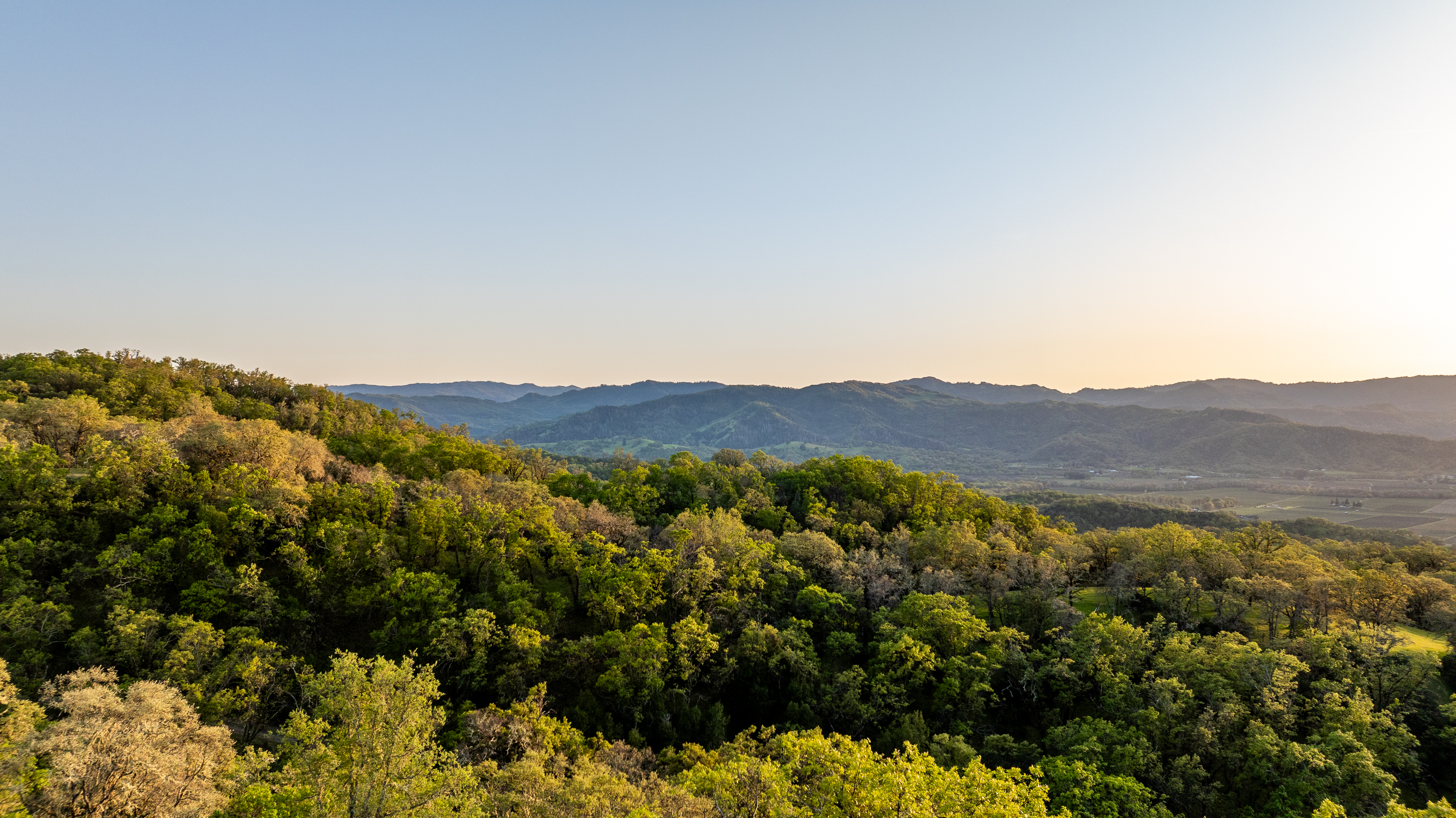 North Mayacamas Ranch