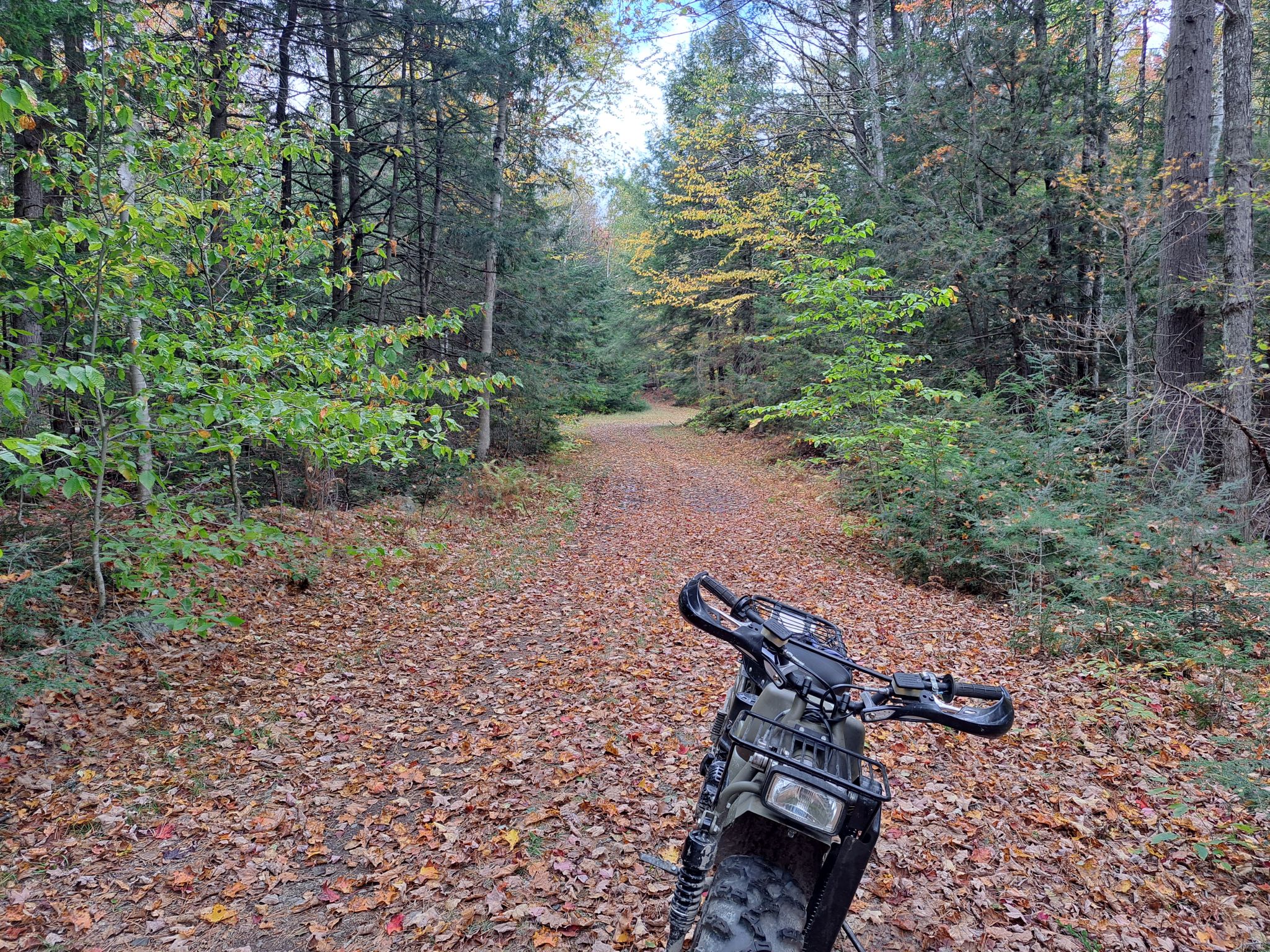 Hudson River Woods & Water