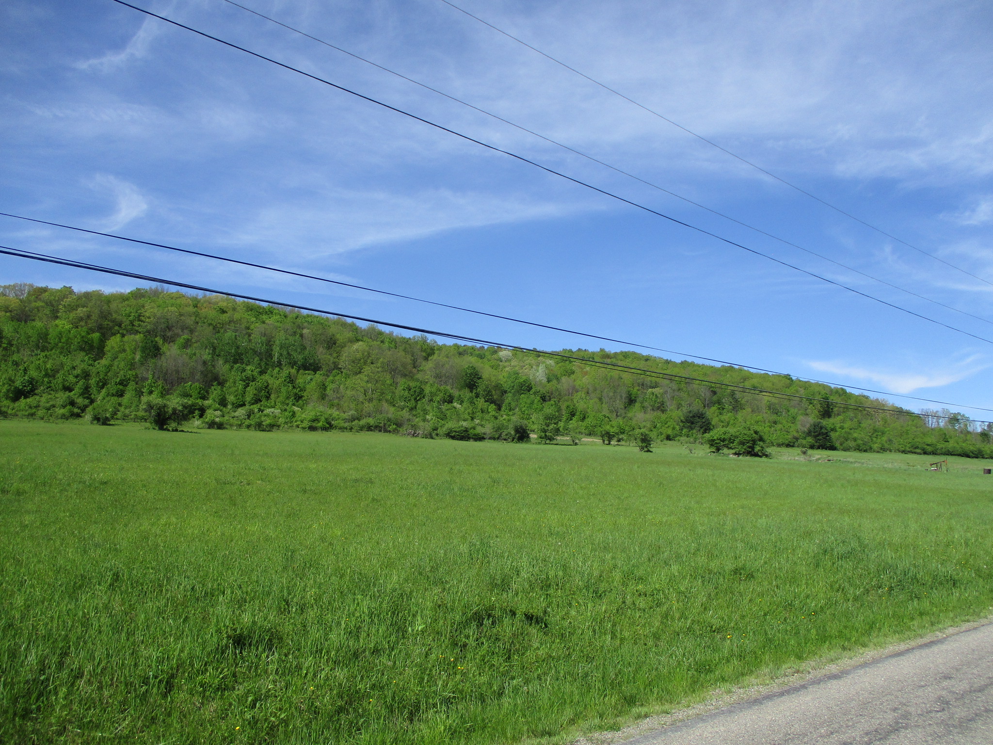 Long View Acres
