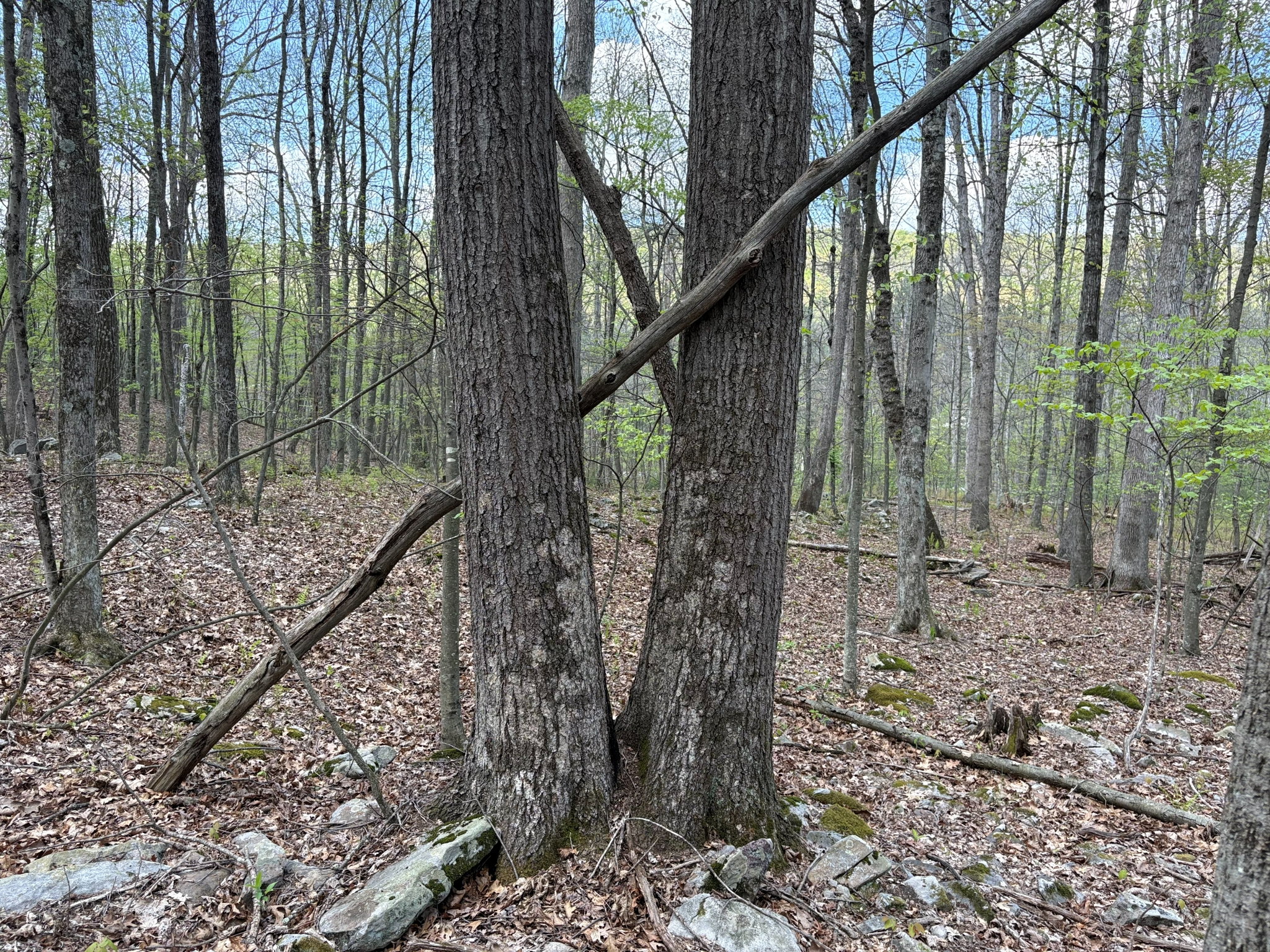 Listing Image 28