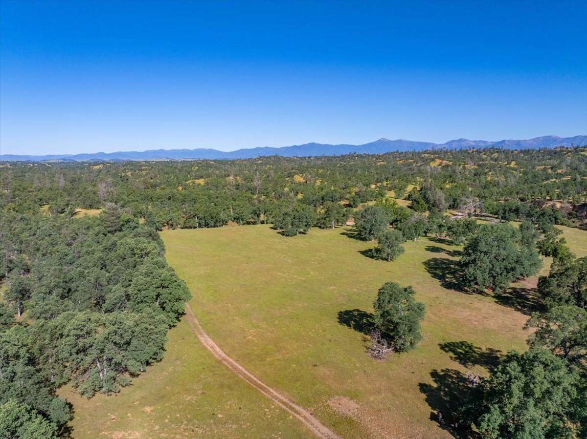 Davis Ranch Road