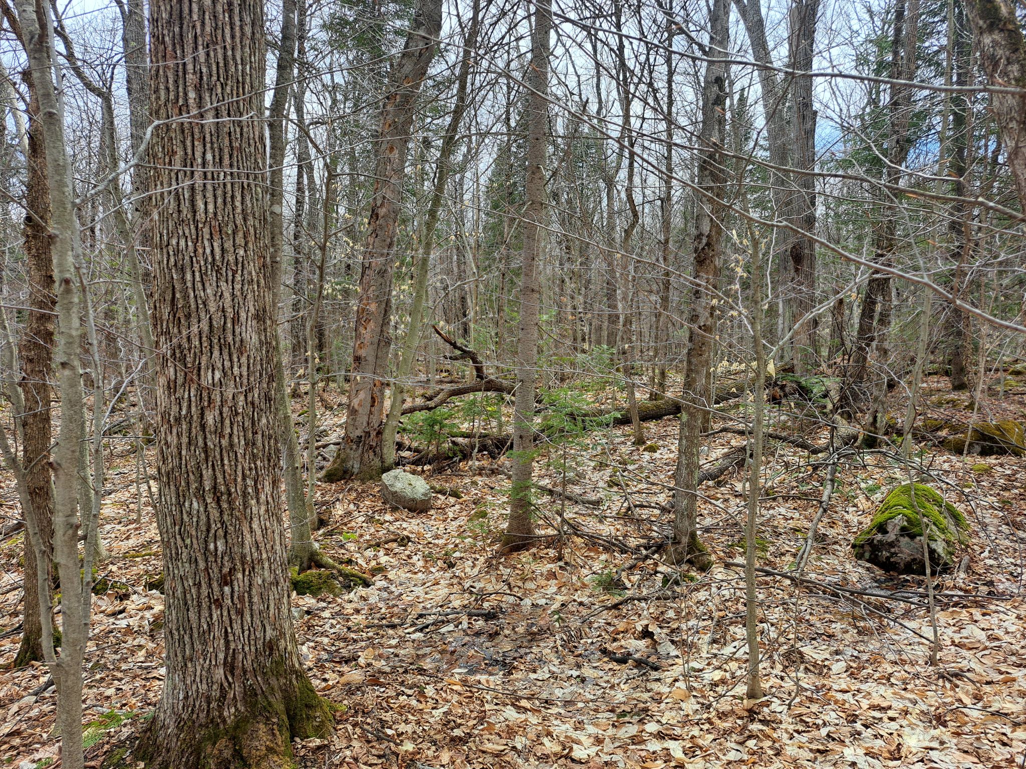 Listing Image 52