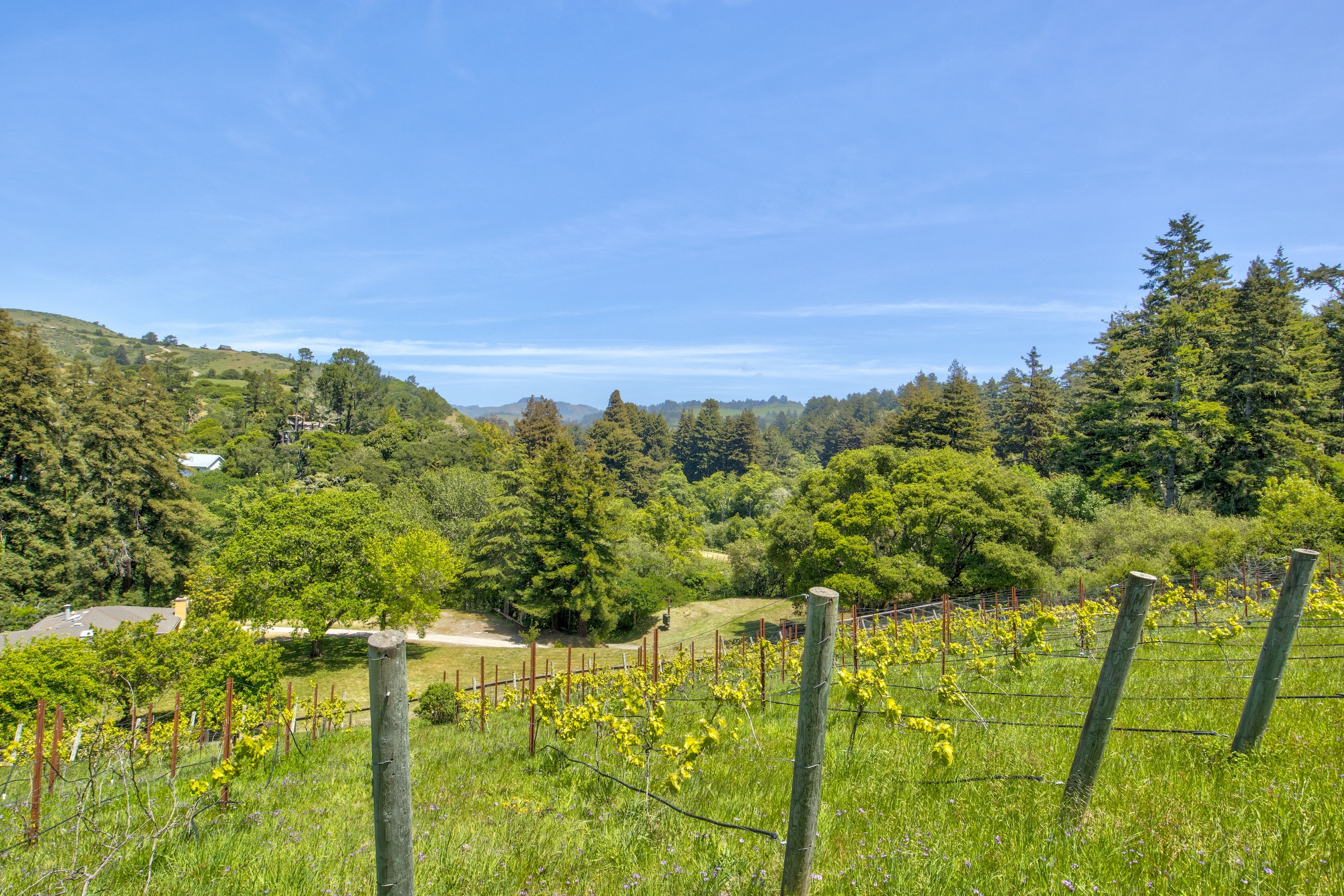 San Gregorio Creekside Farm