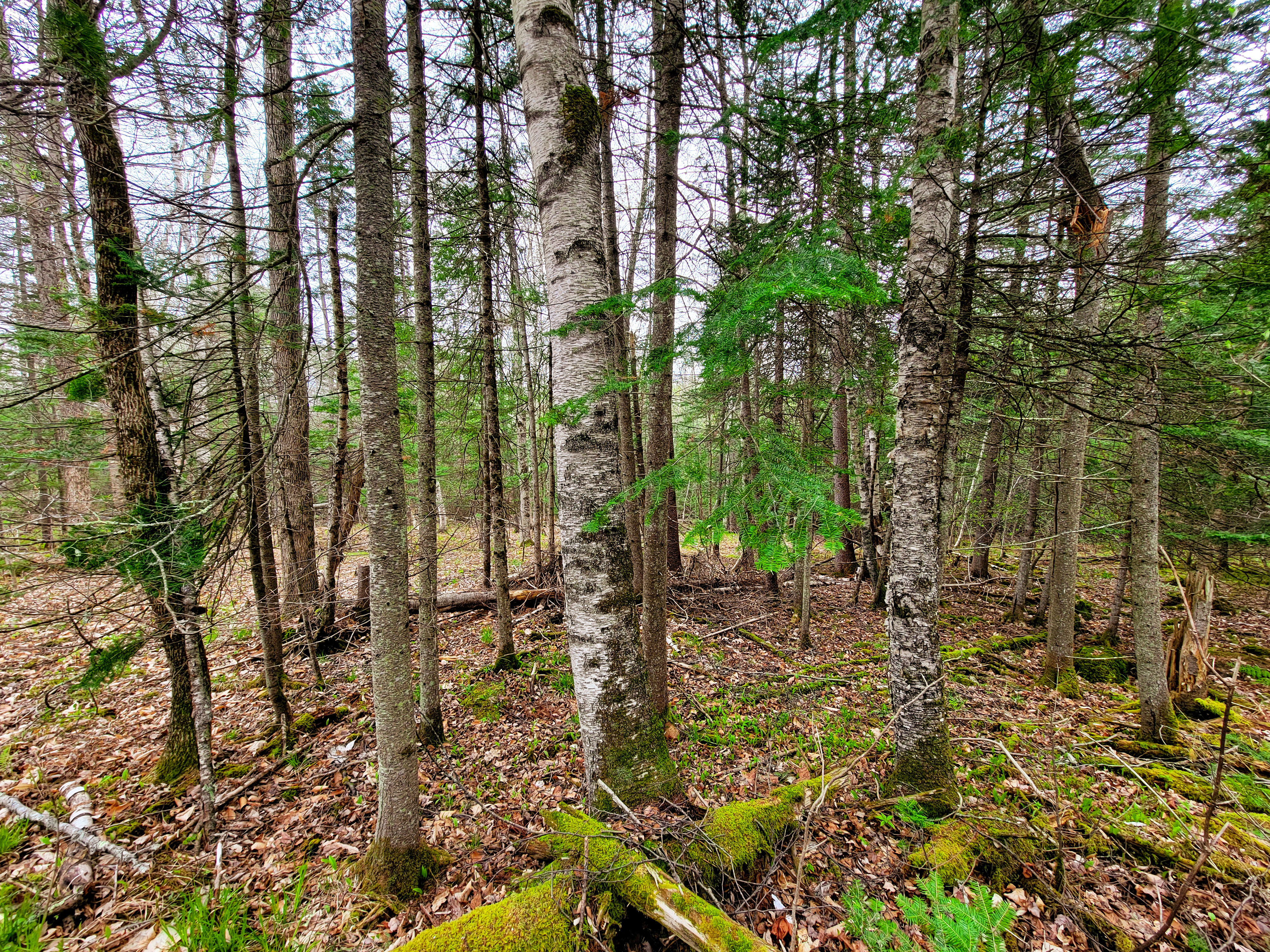 855 Campbell Rd - Waterford