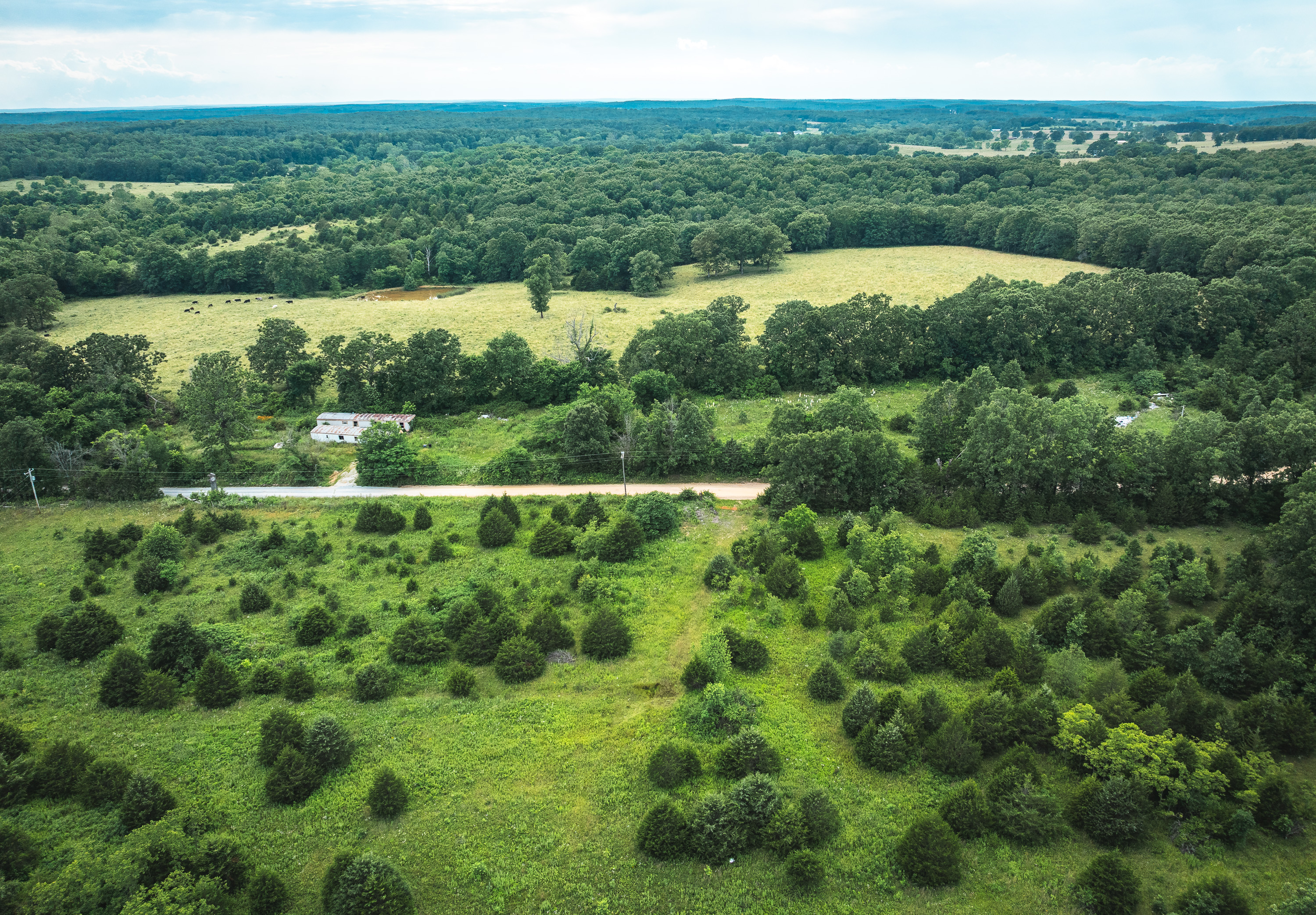 Kimble Glade