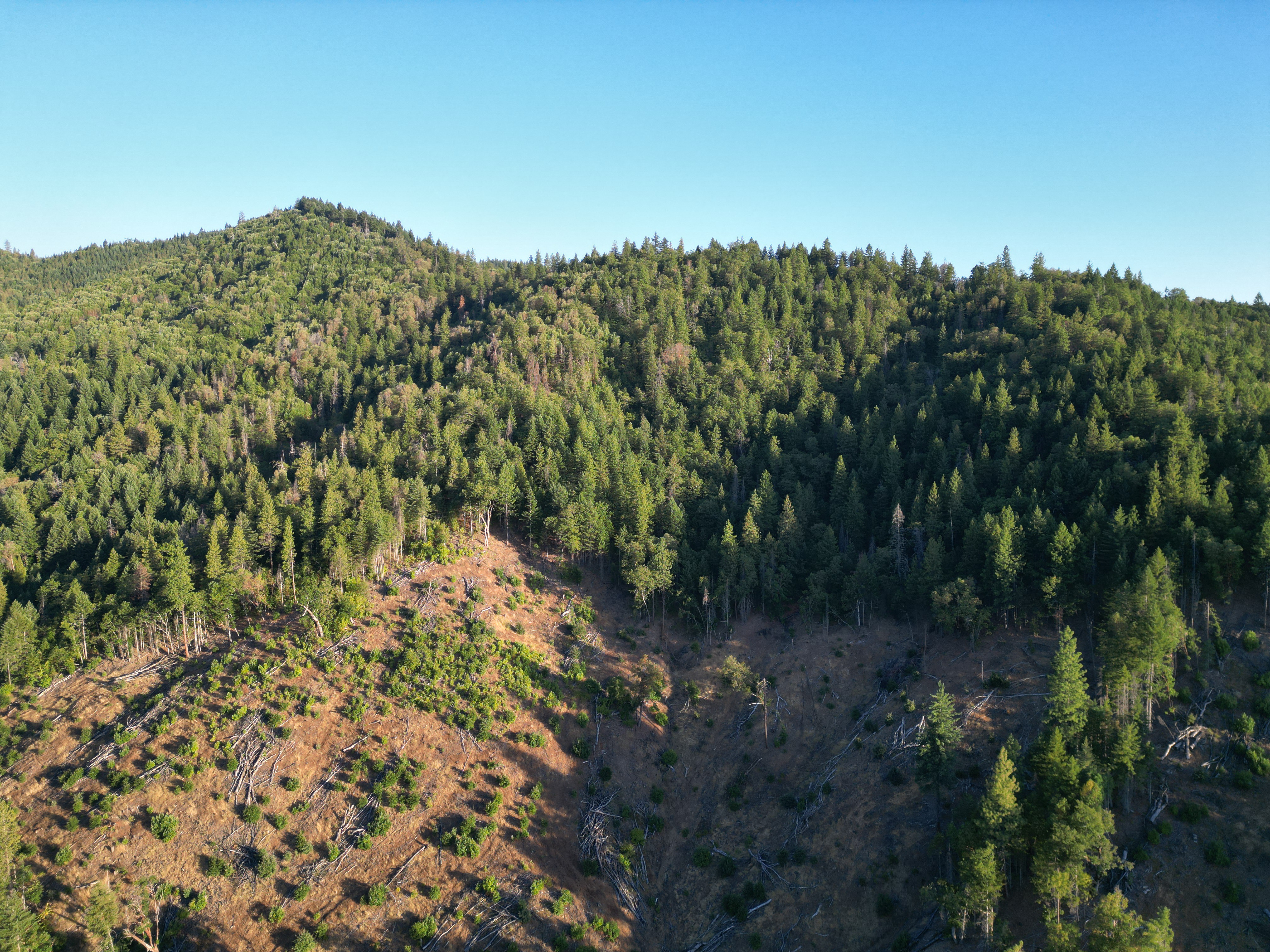 471 AC-E Evans Creek Rd