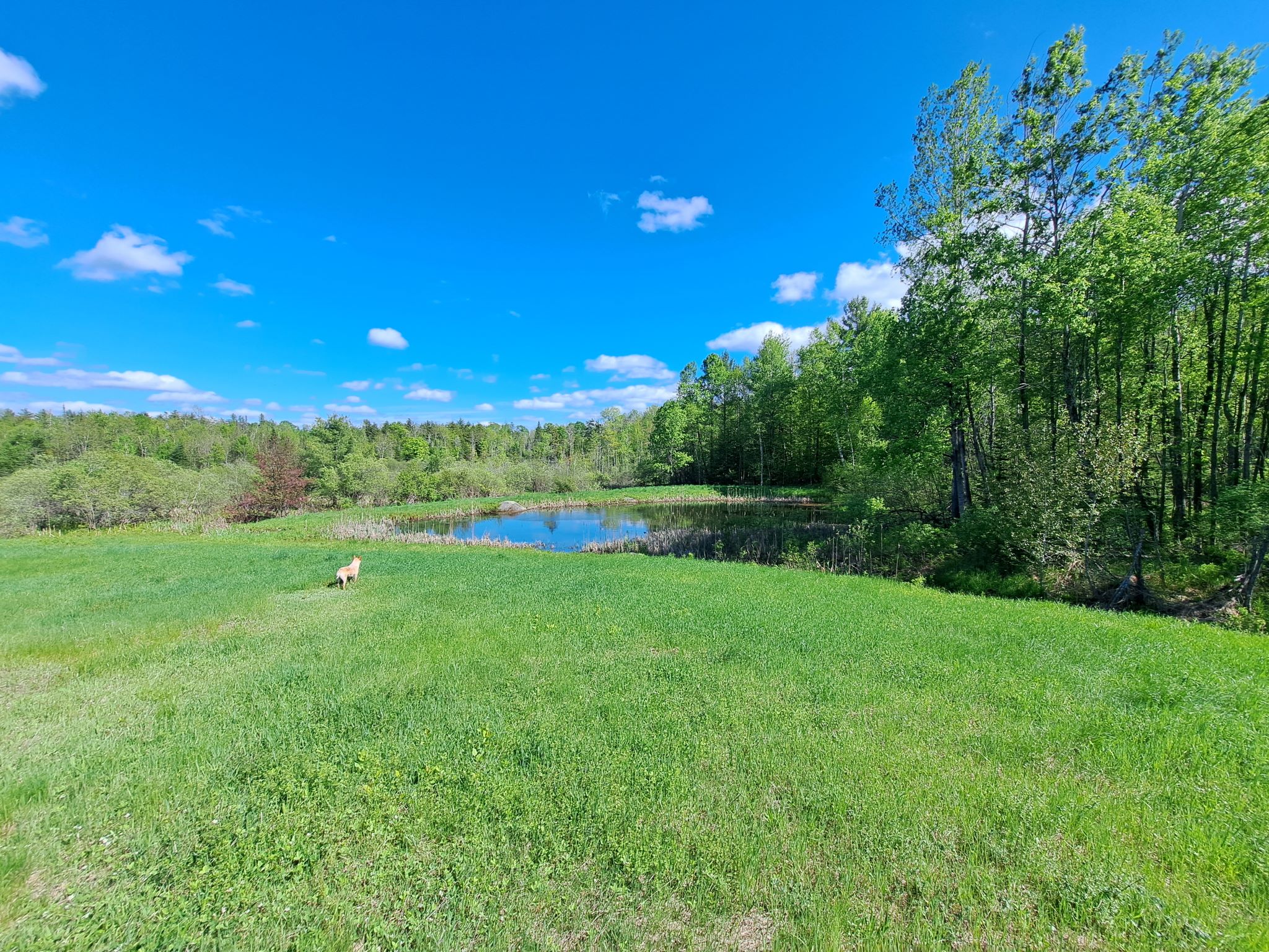 Listing Image 61