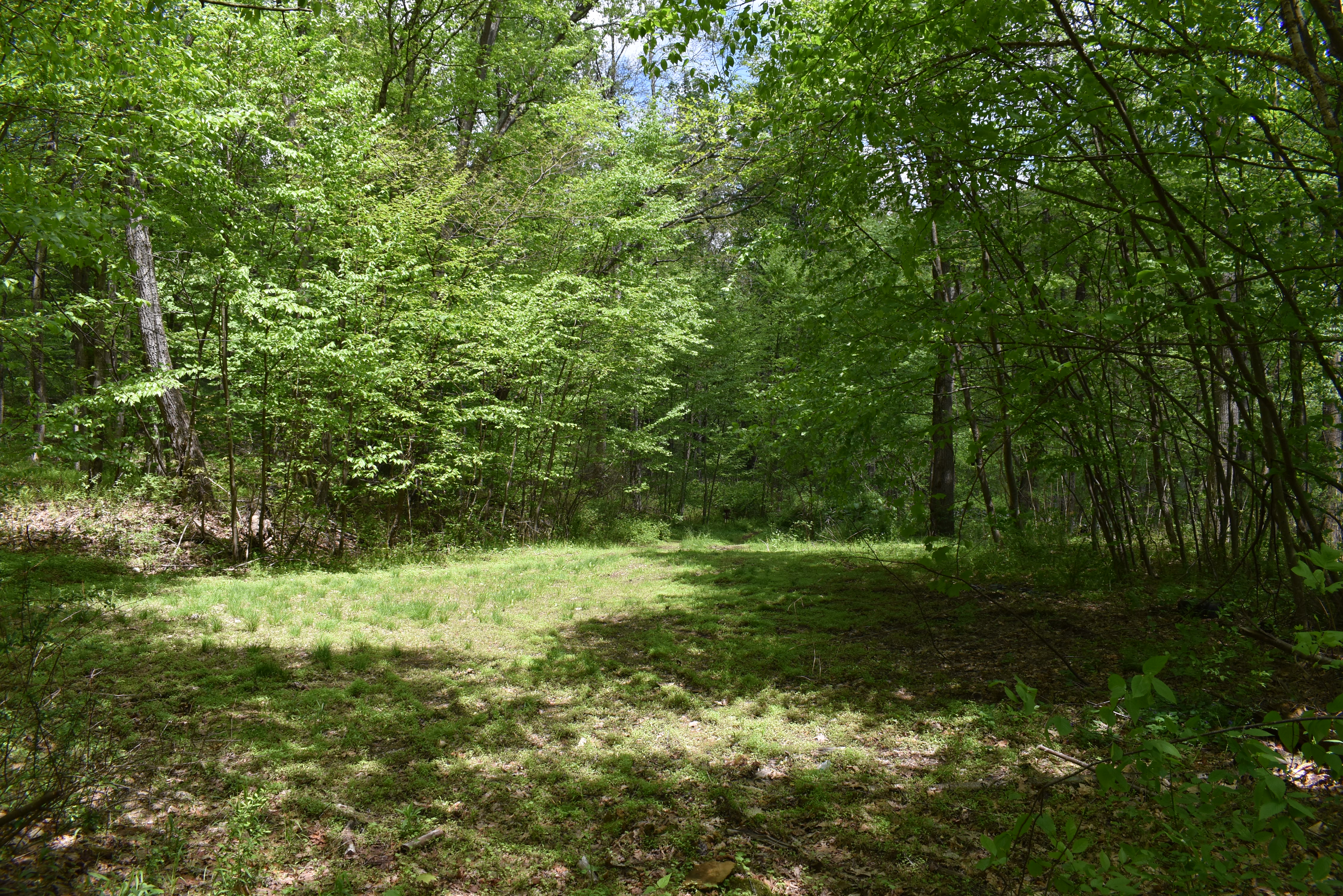 Grugan Hollow