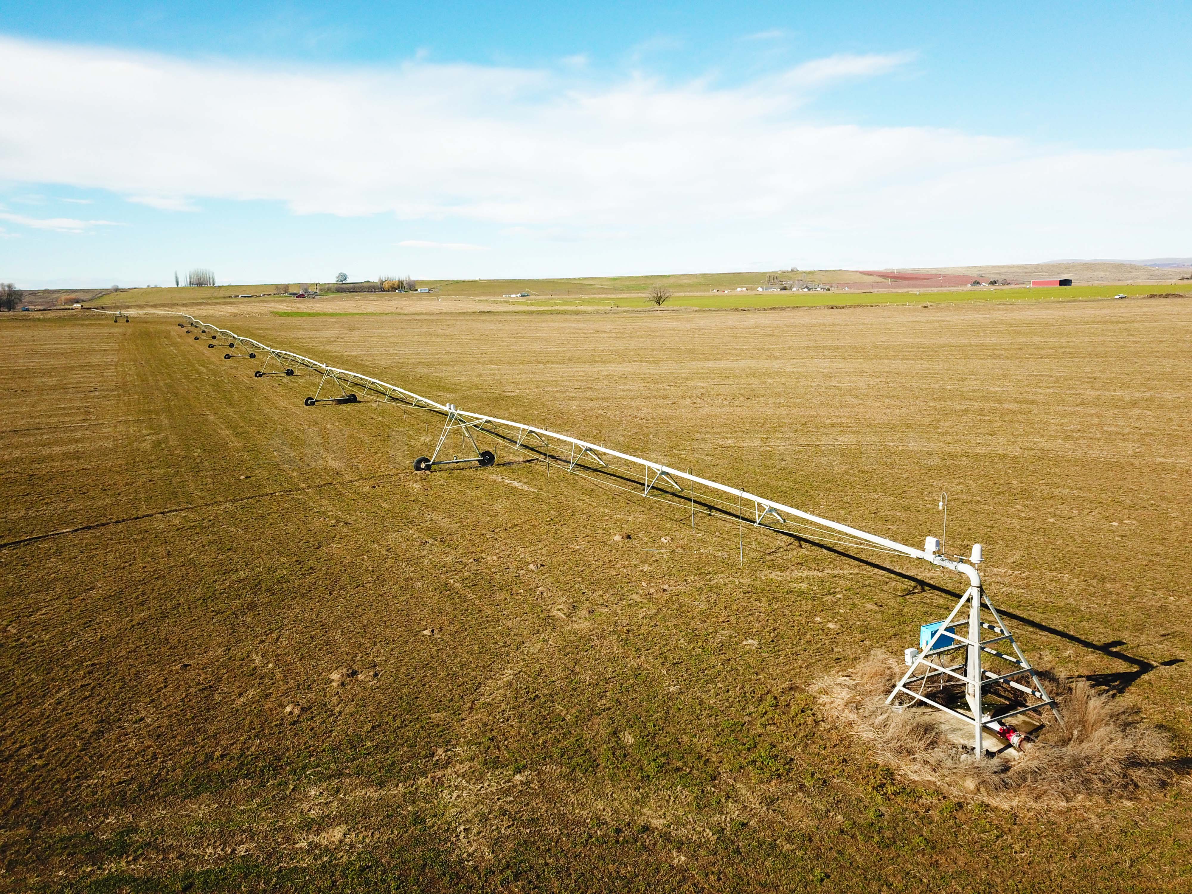 Fern Road Irrigated farm