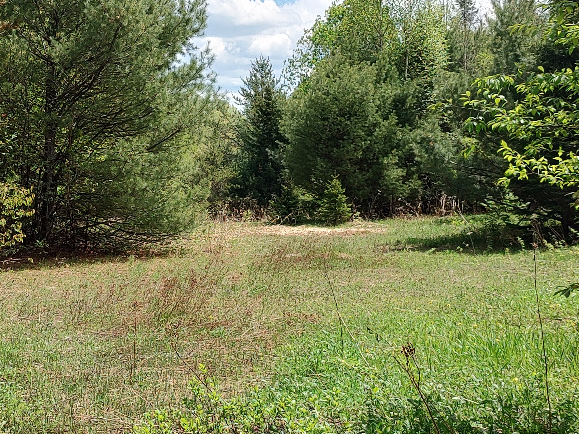 160 Acre Wilderness Retreat 50175391
