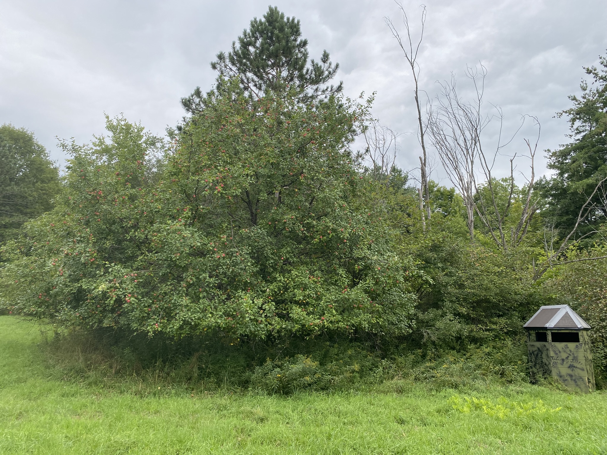 Listing Image 48
