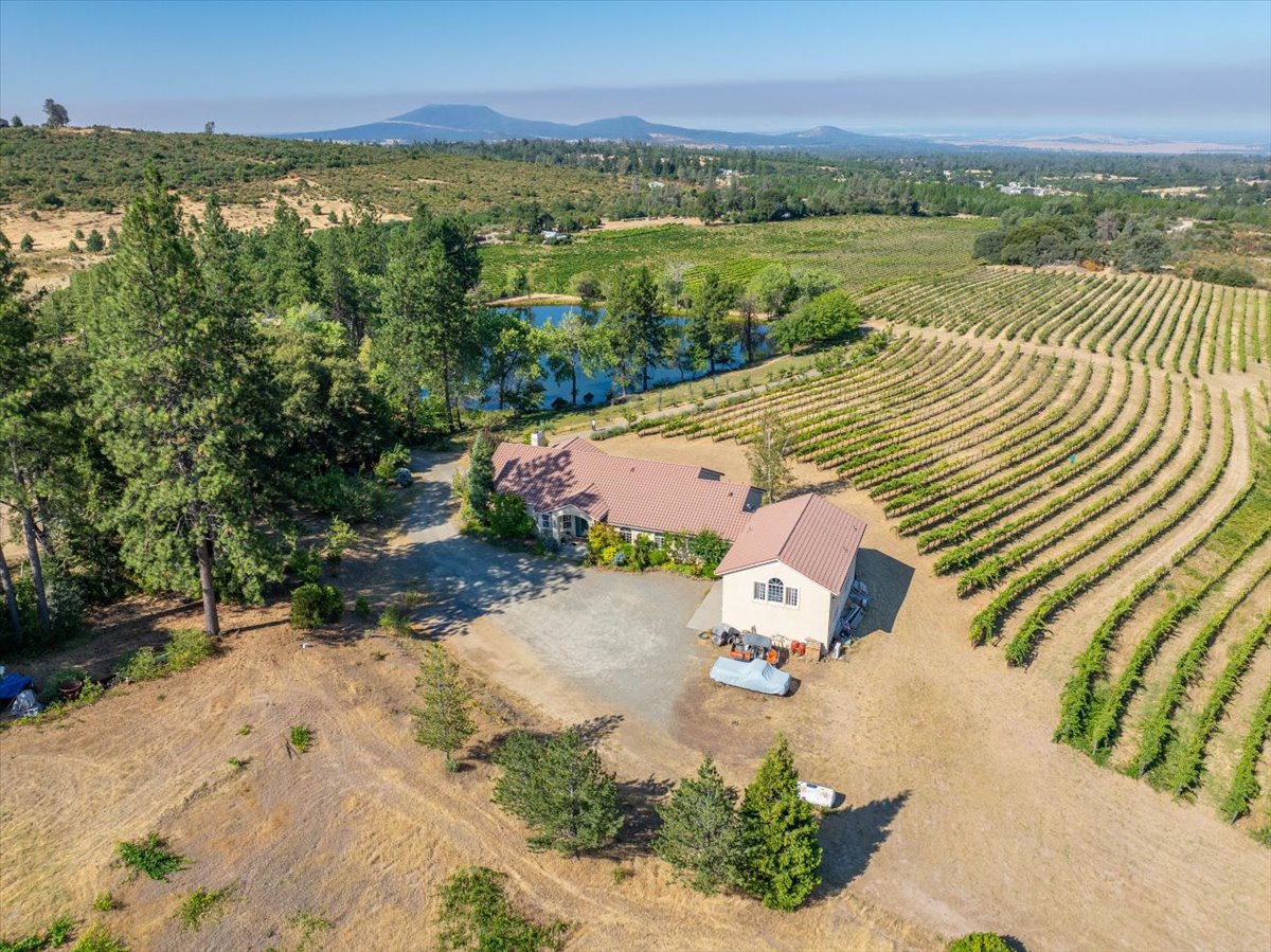 Alger Vineyards and More