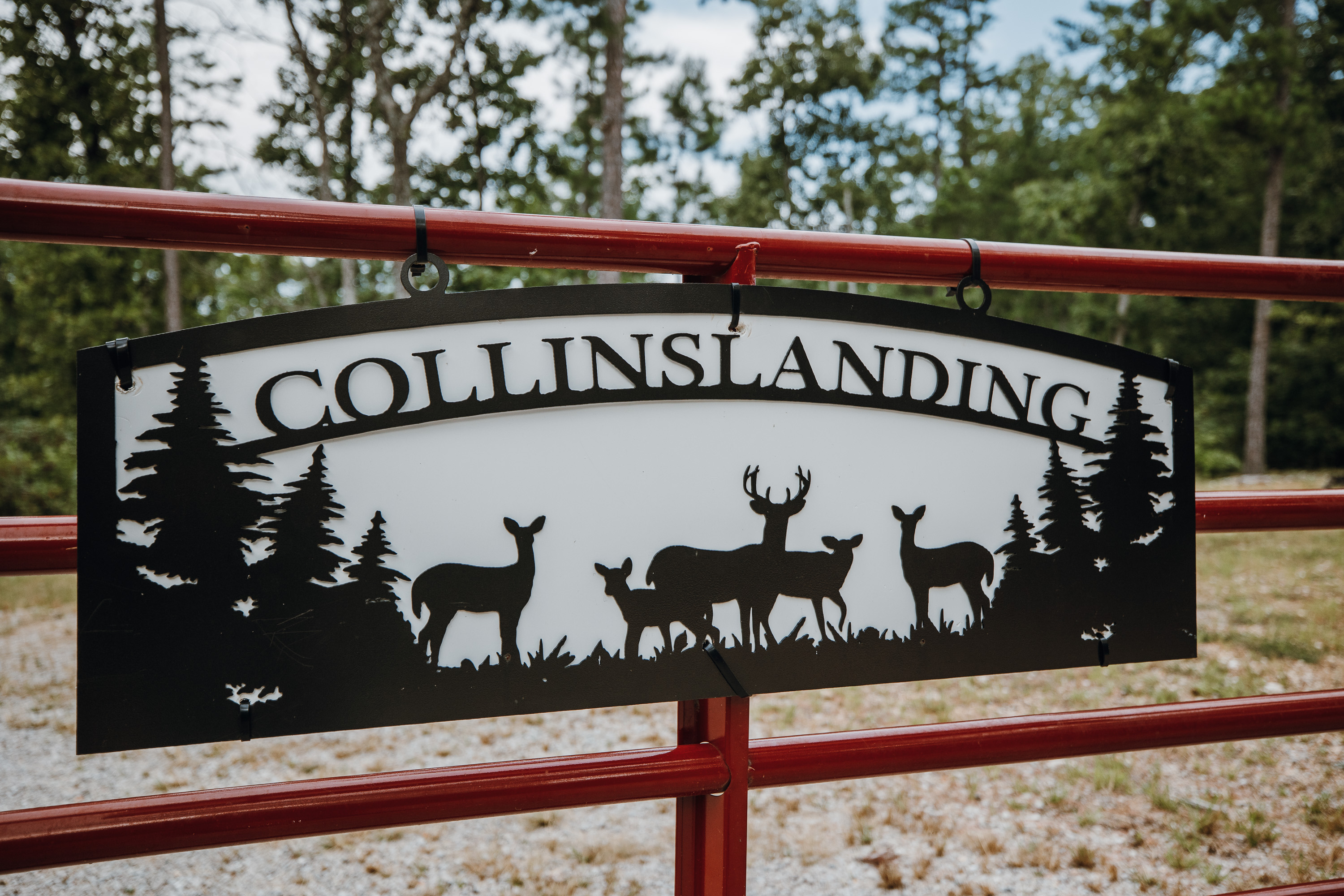 Collins Landing