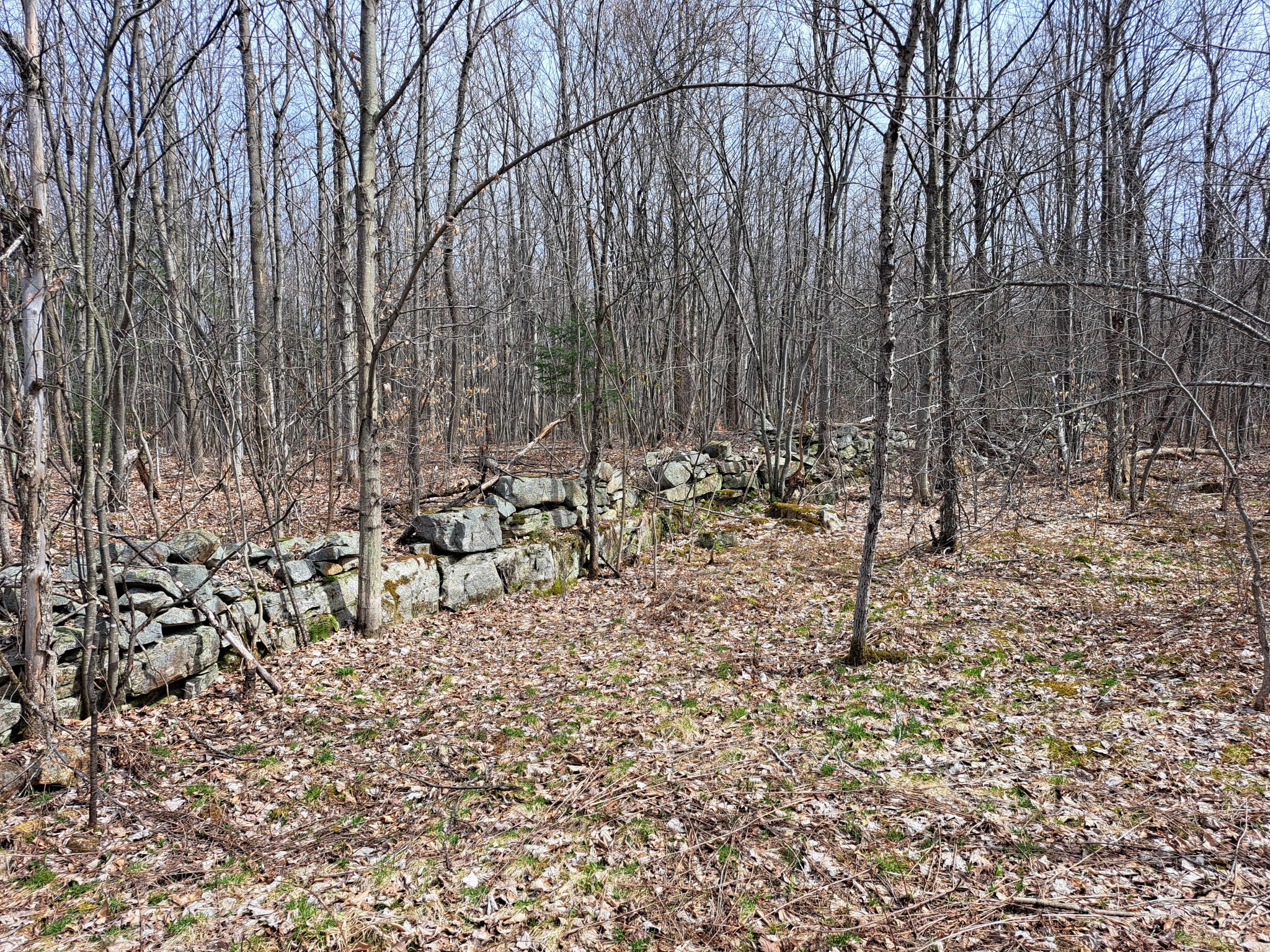 Listing Image 8