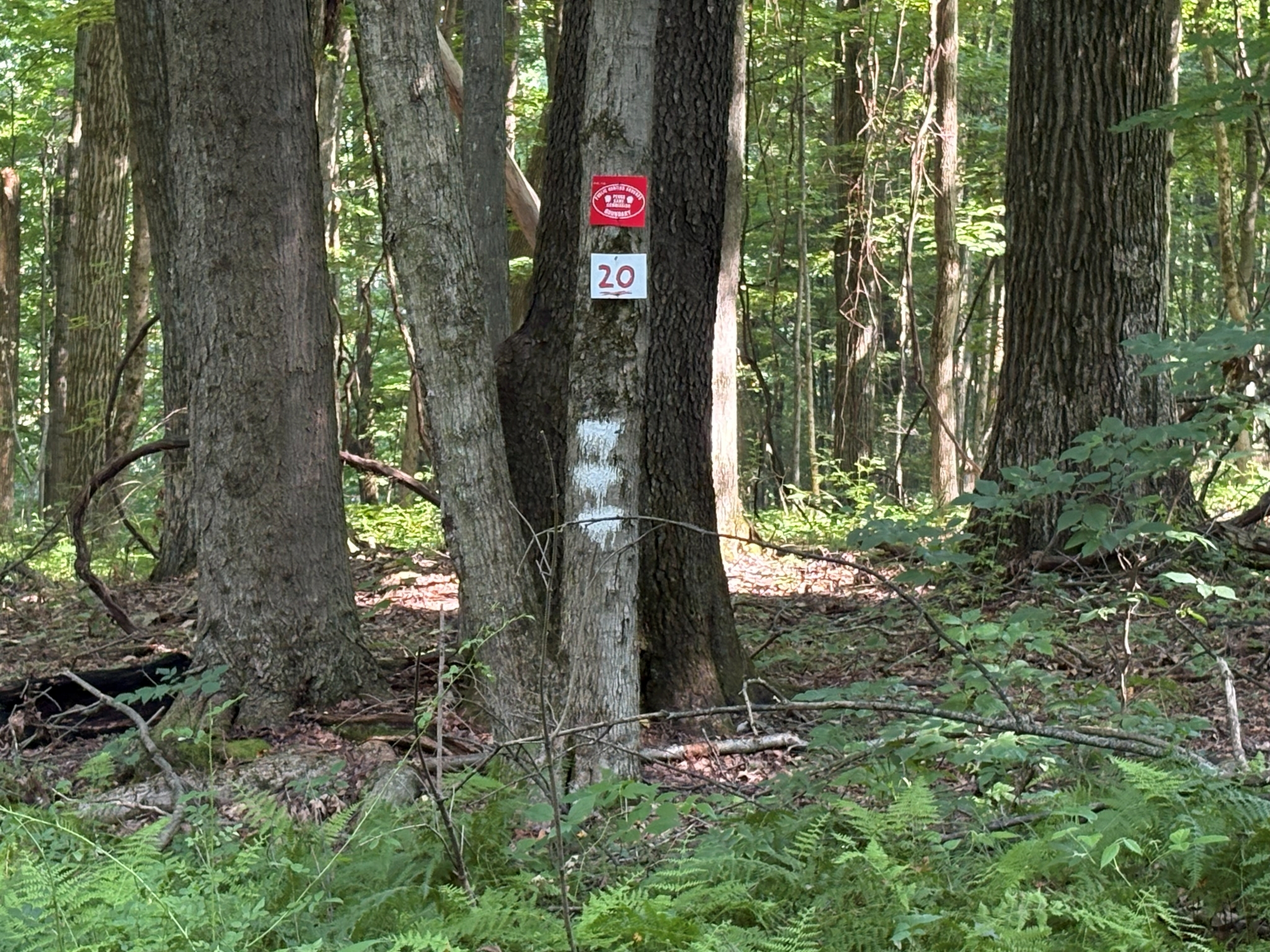 Listing Image 18