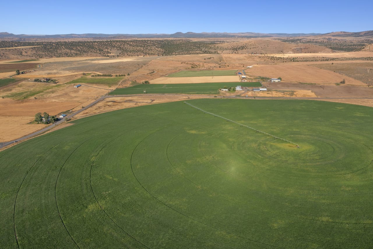 NE Cherry Lane - Productive Irrigated Farm for Sale