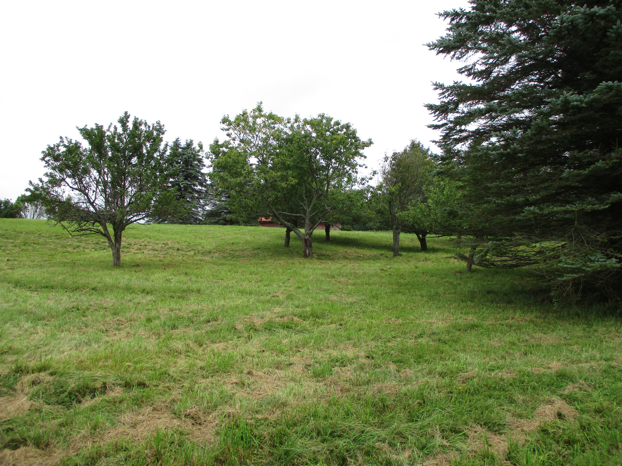 Listing Image 30