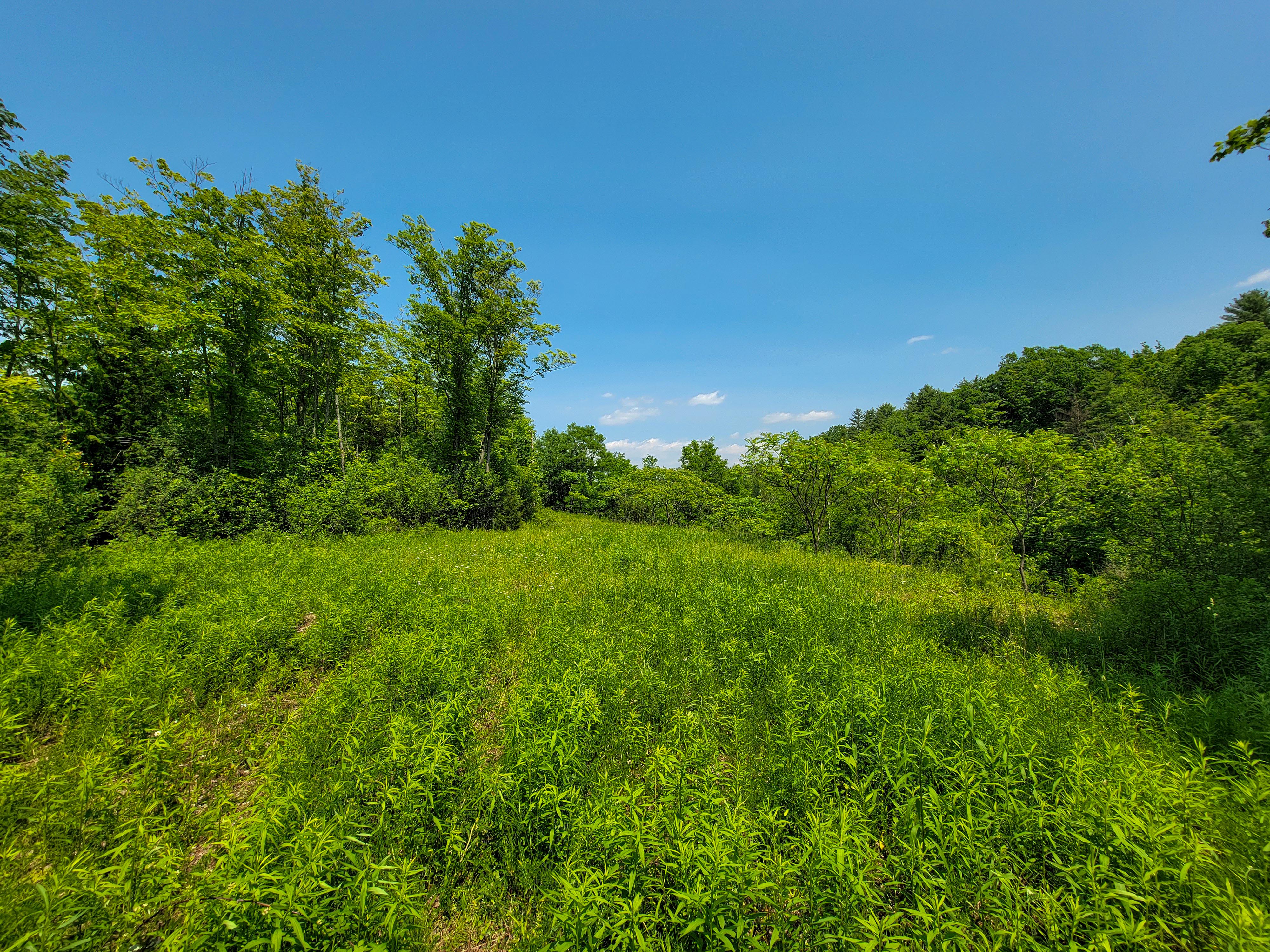 21 Nickerson Rd - Brandon