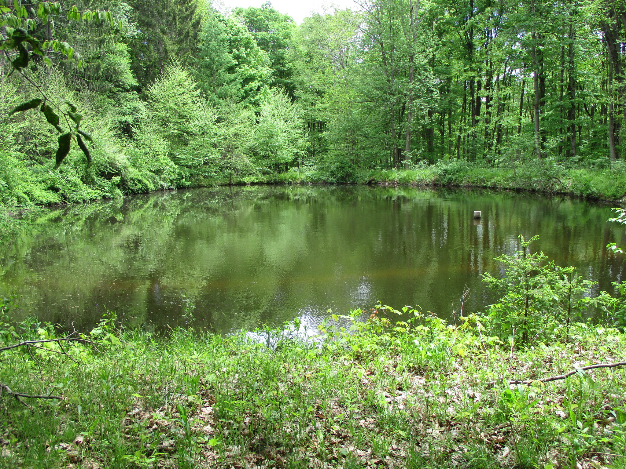 Legacy Land and Cabin