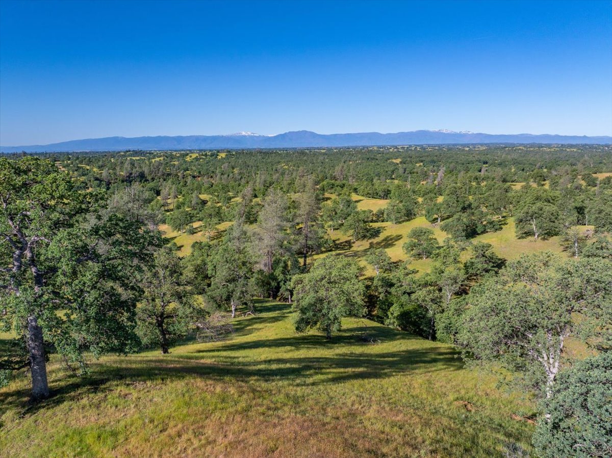 Davis Ranch Road