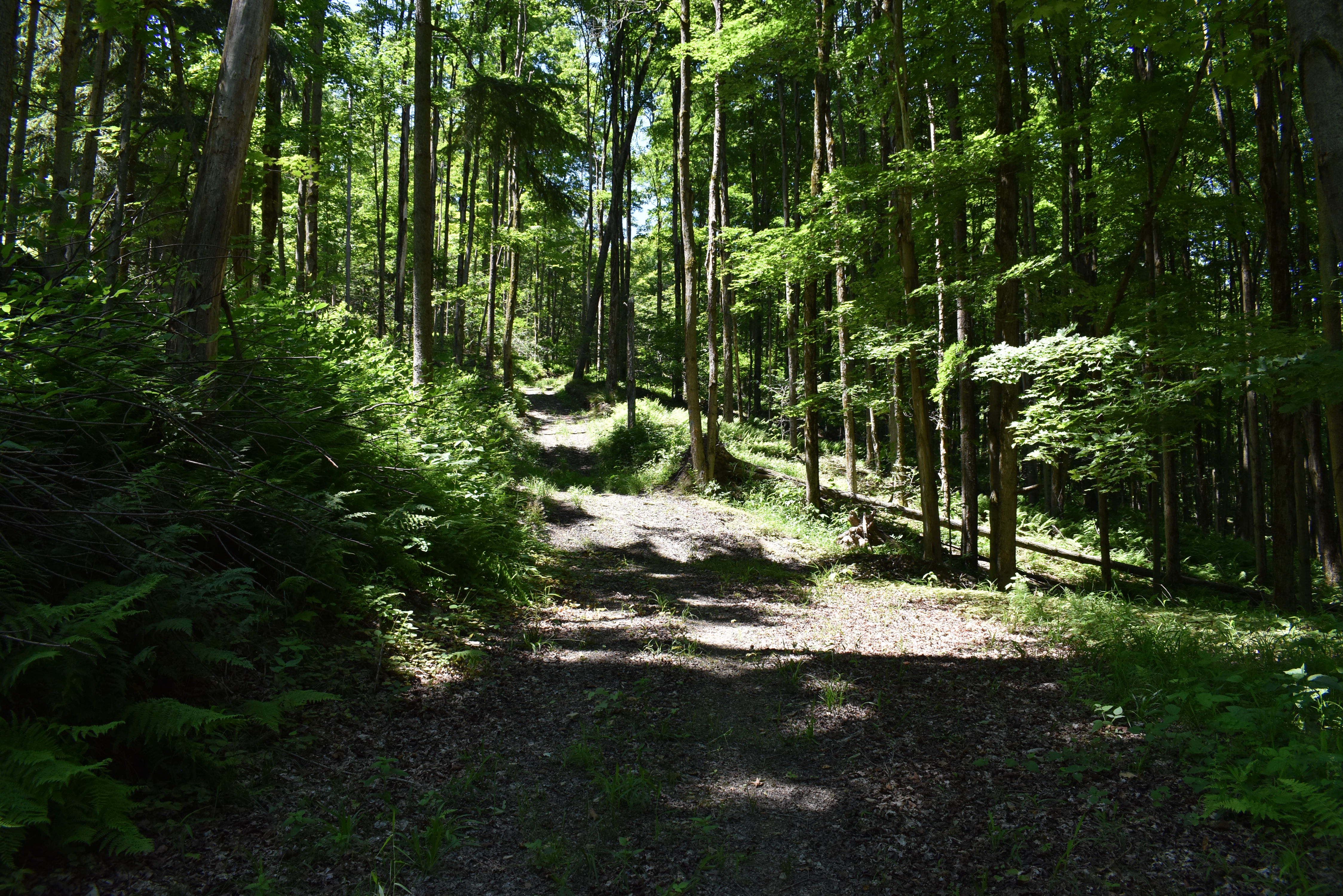 Fabulous Farrington Hollow