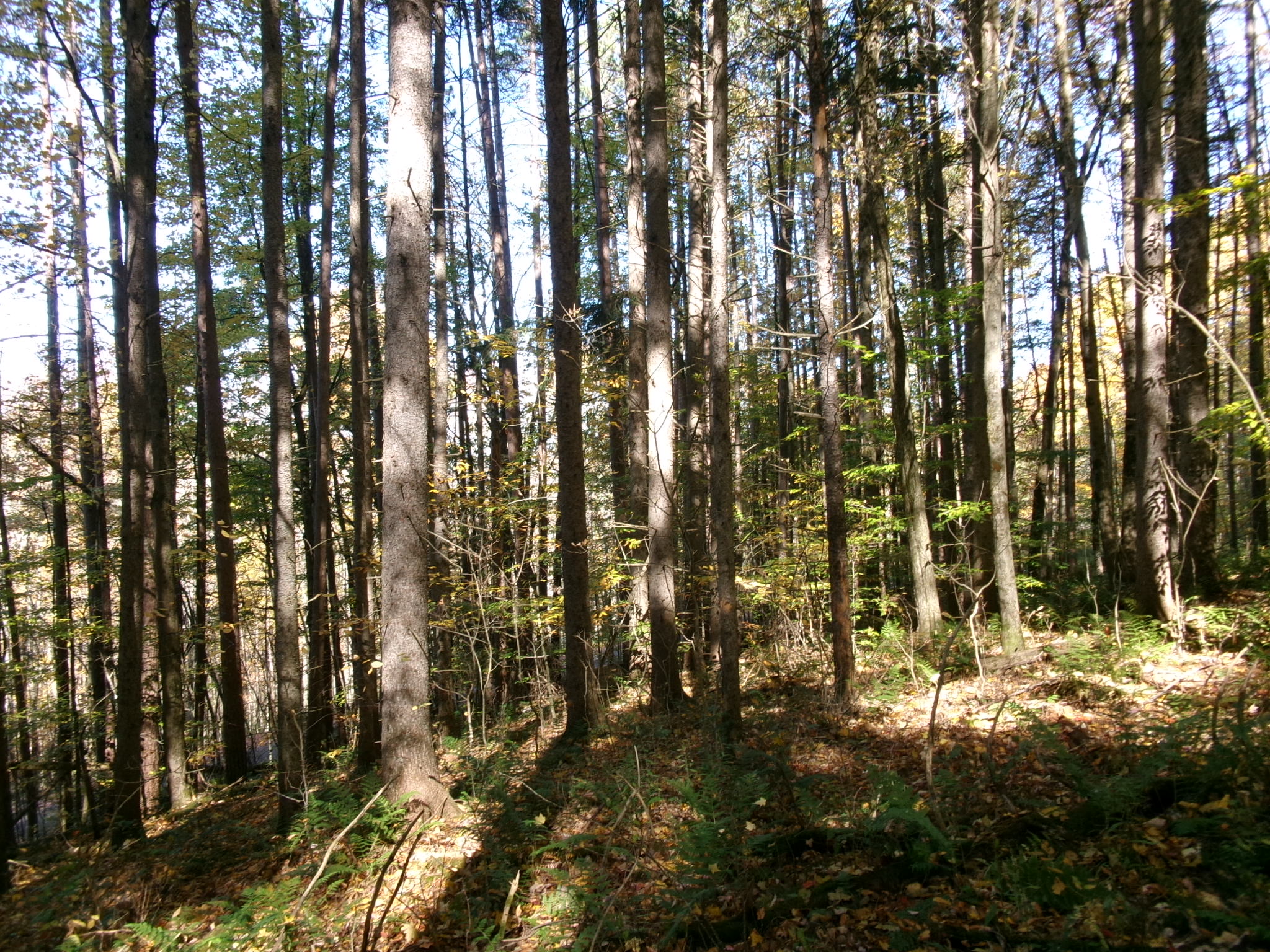 Listing Image 28