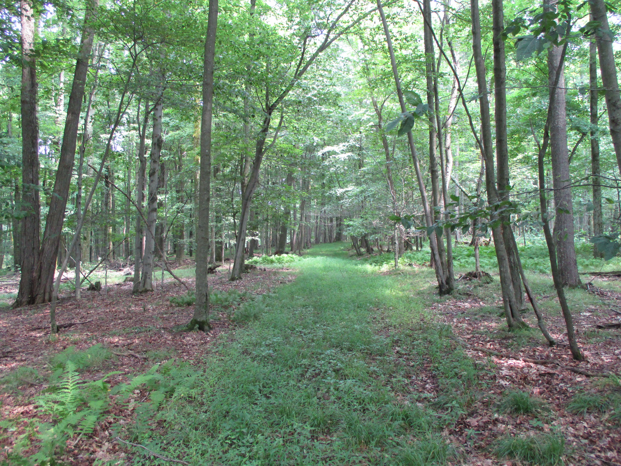 Listing Image 46