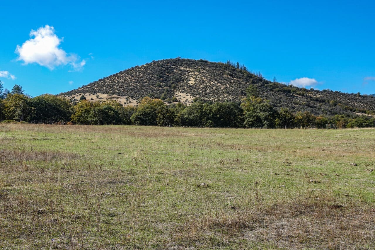 Listing Image 45