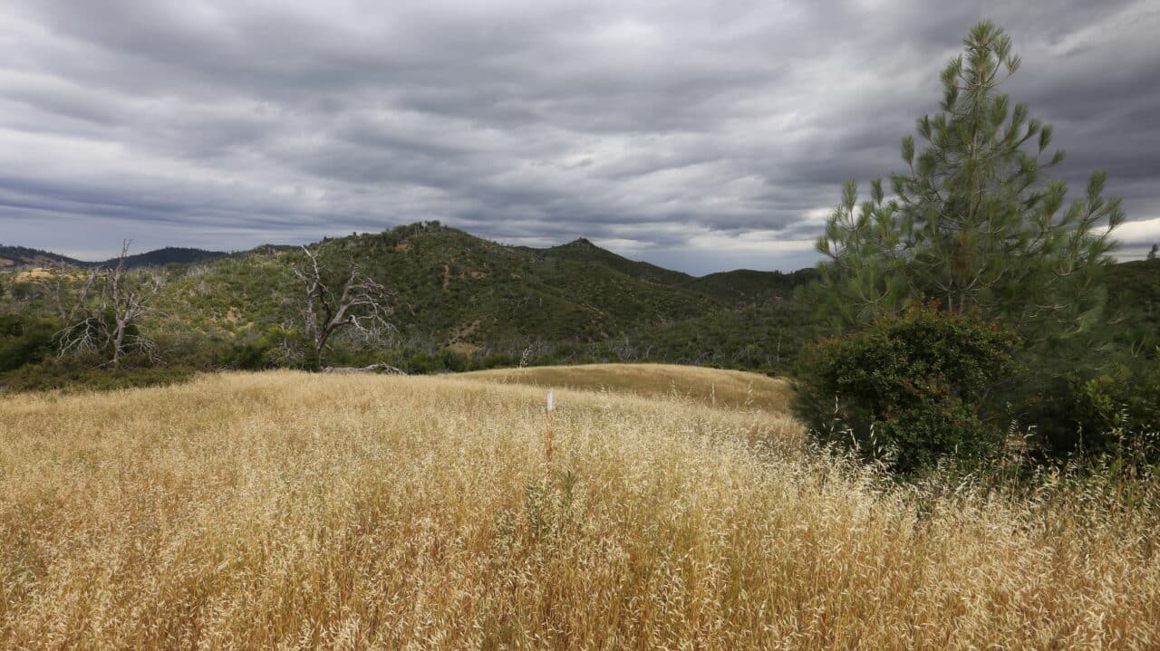 Listing Image 40