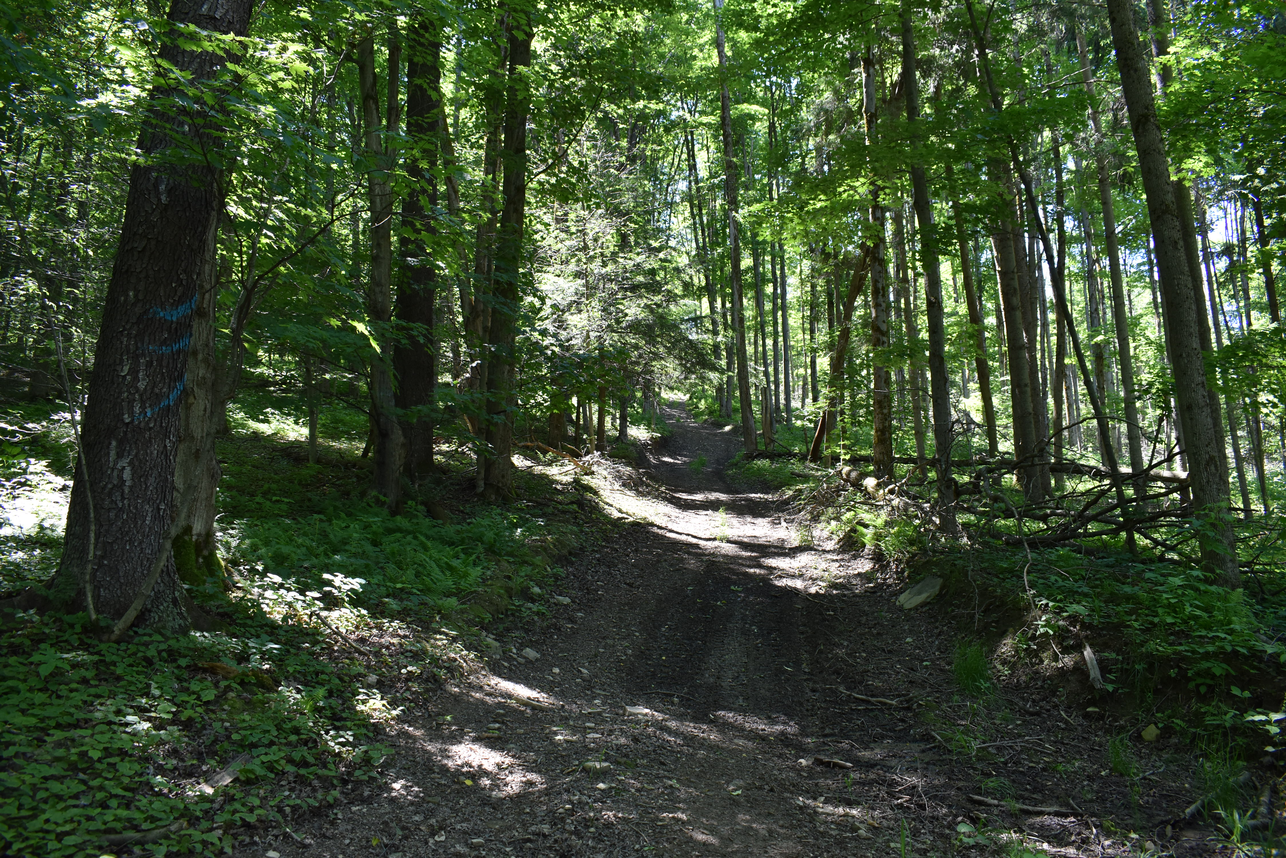 Fabulous Farrington Hollow