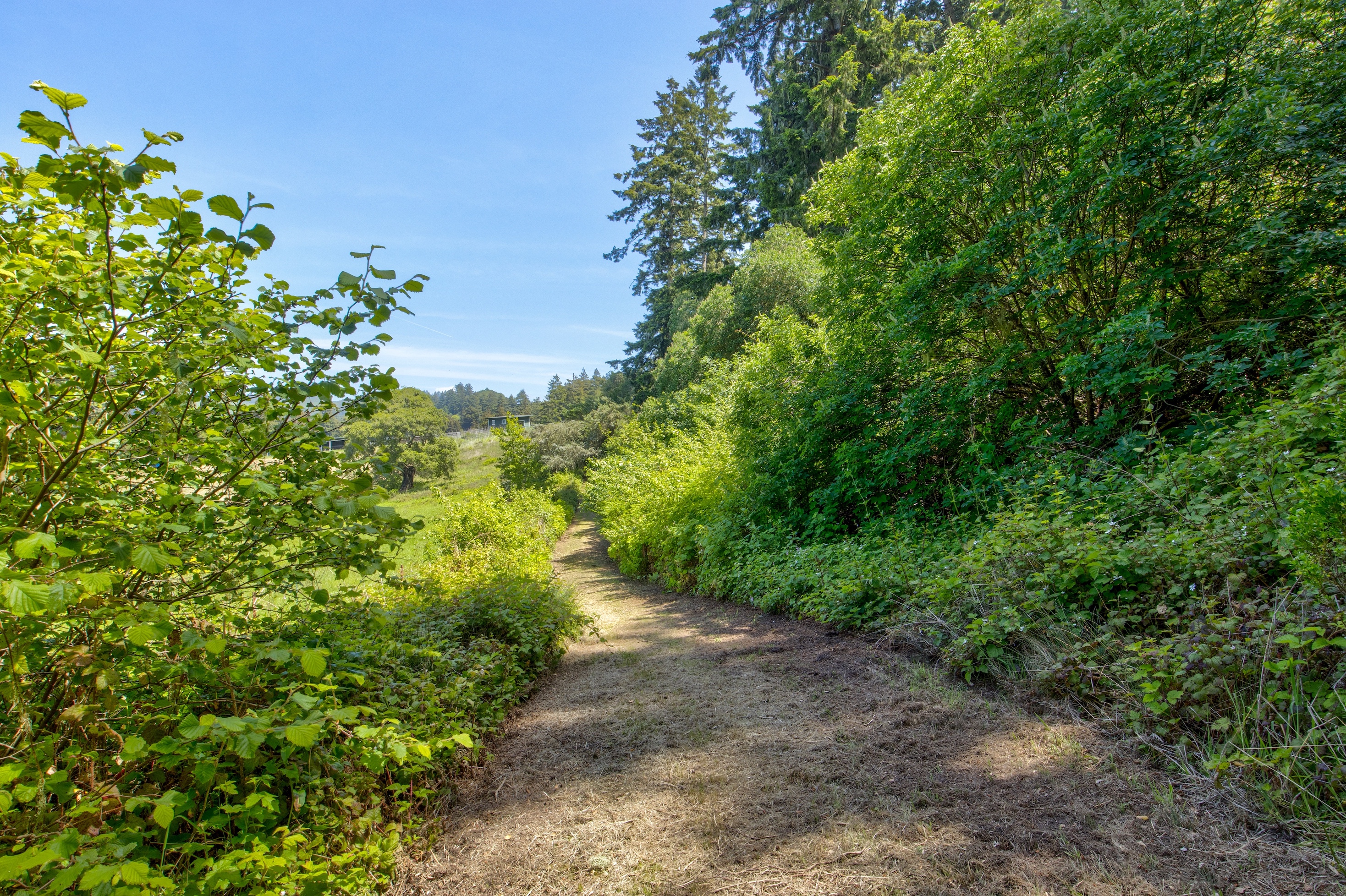 San Gregorio Creekside Farm