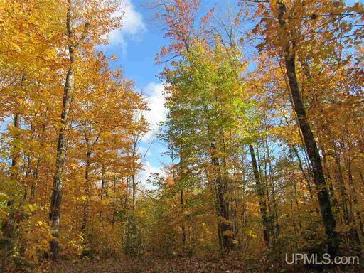 Michigan Private Lake Lot  50178194