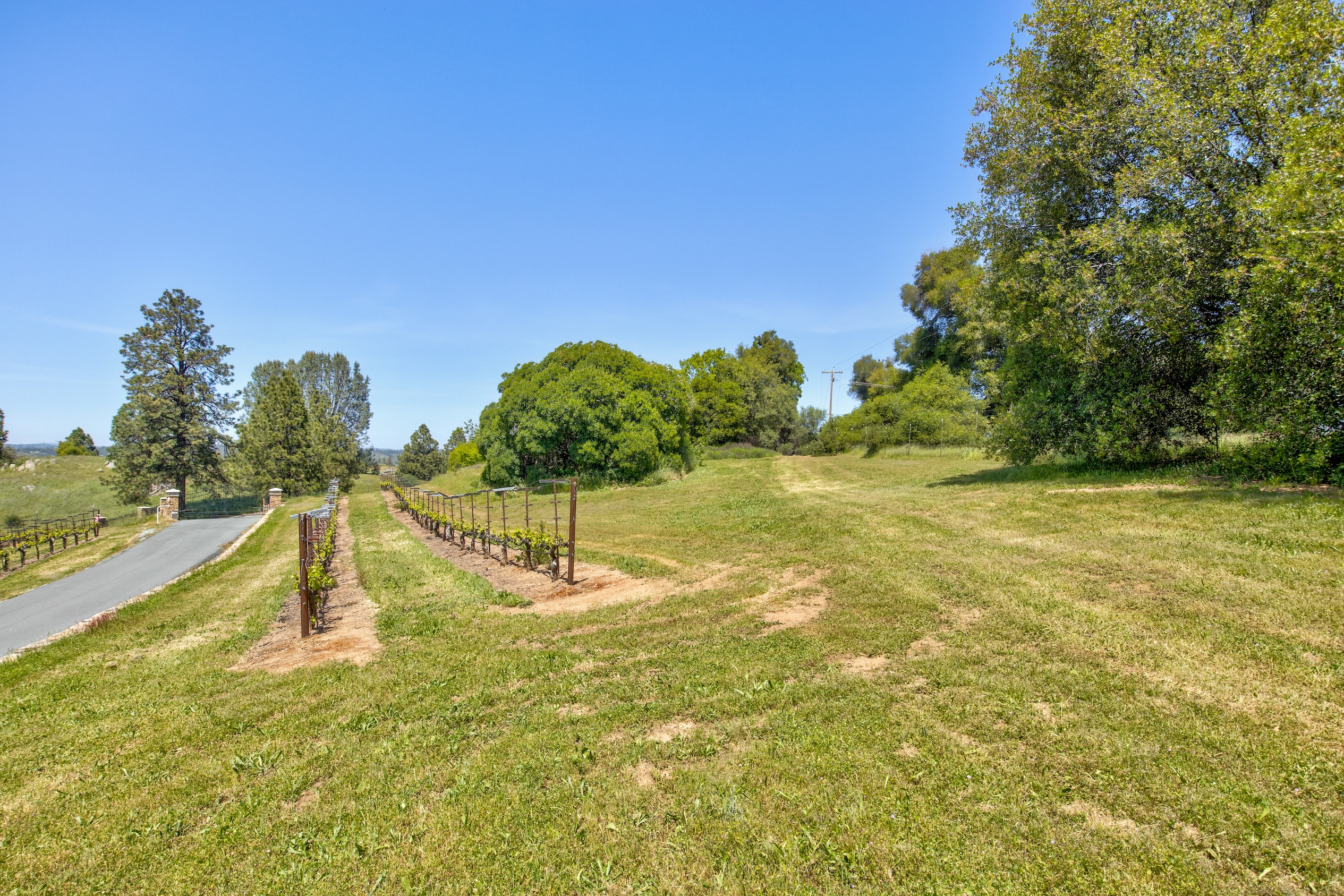 Listing Image 59