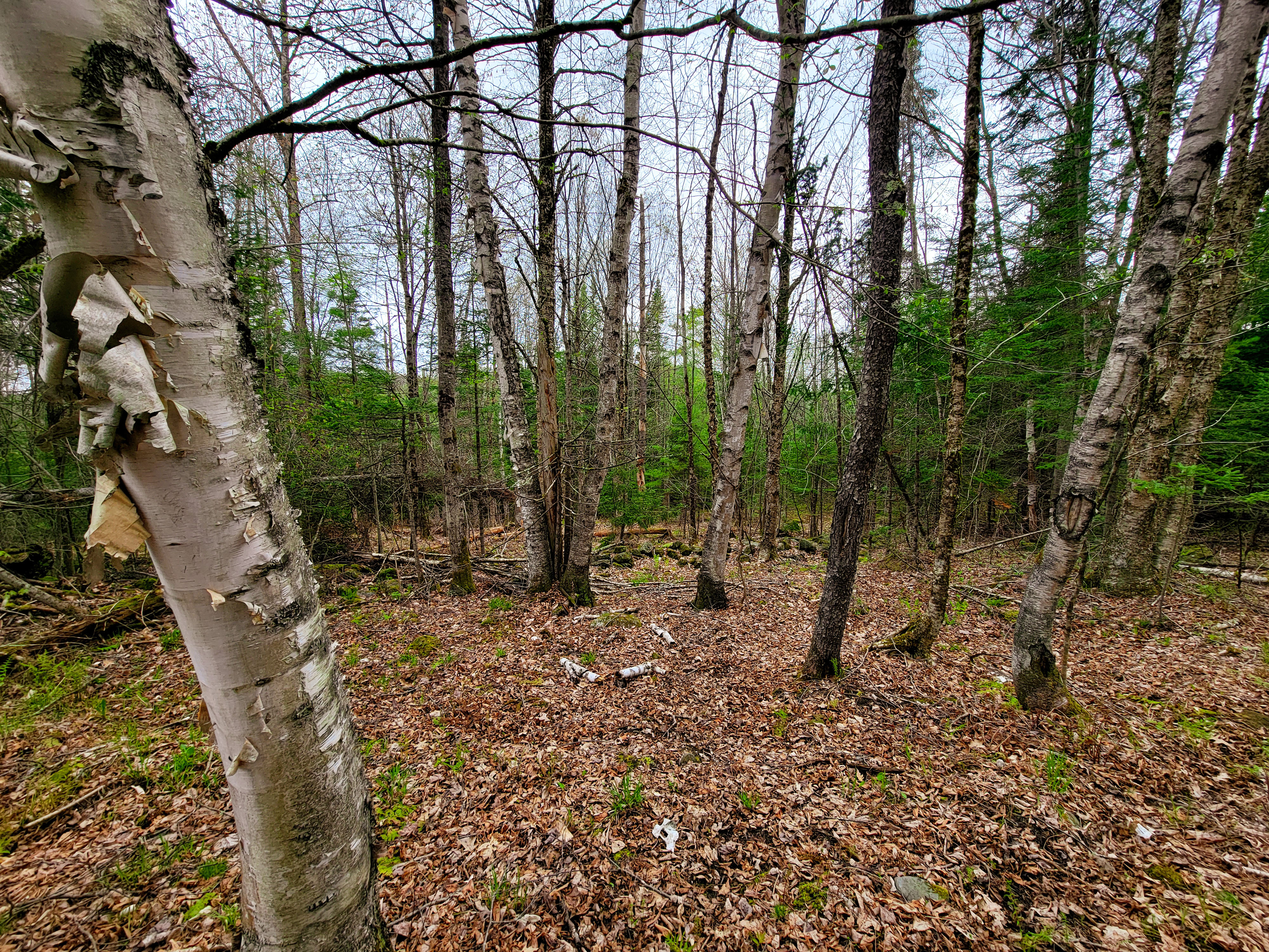 855 Campbell Rd - Waterford