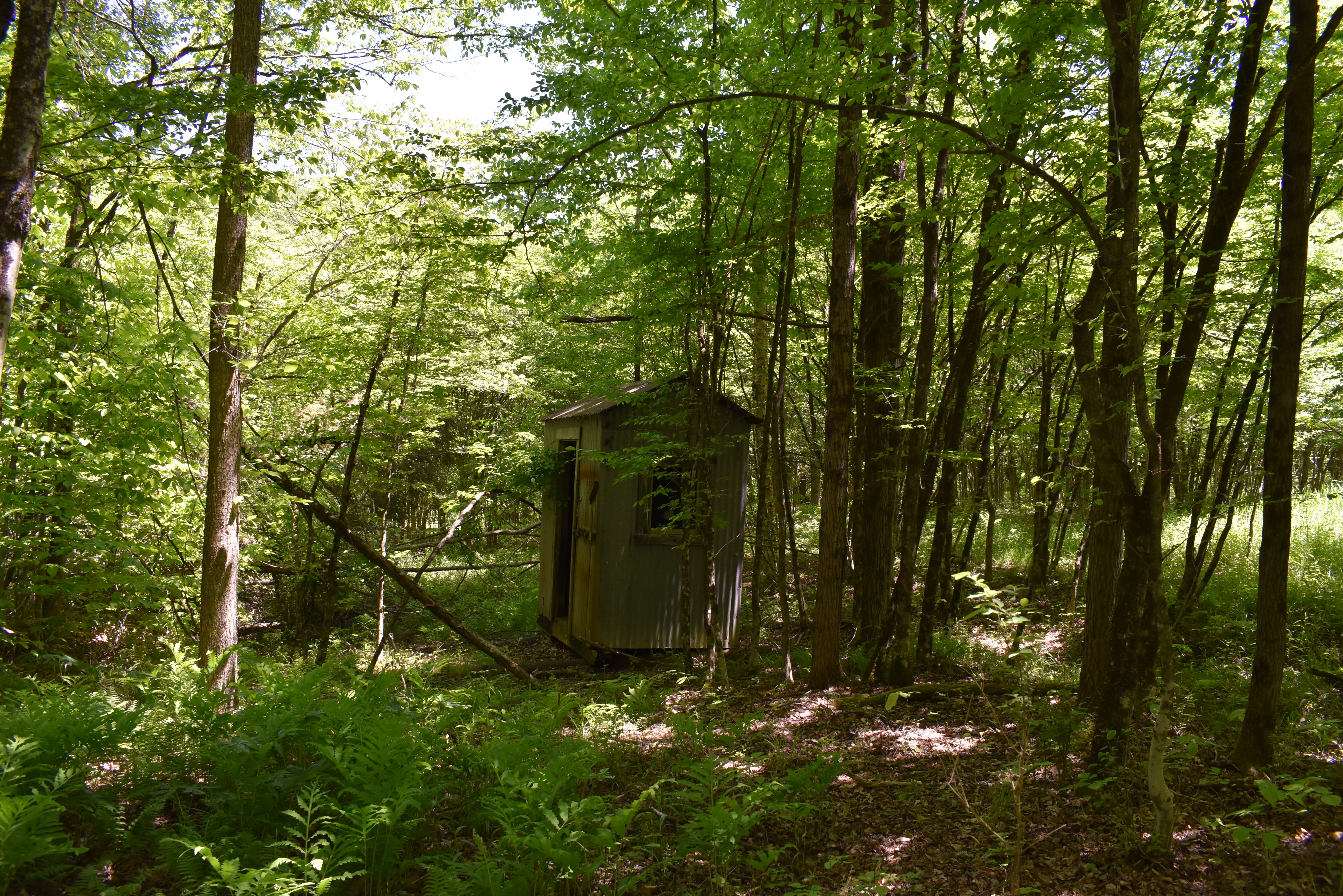Listing Image 37
