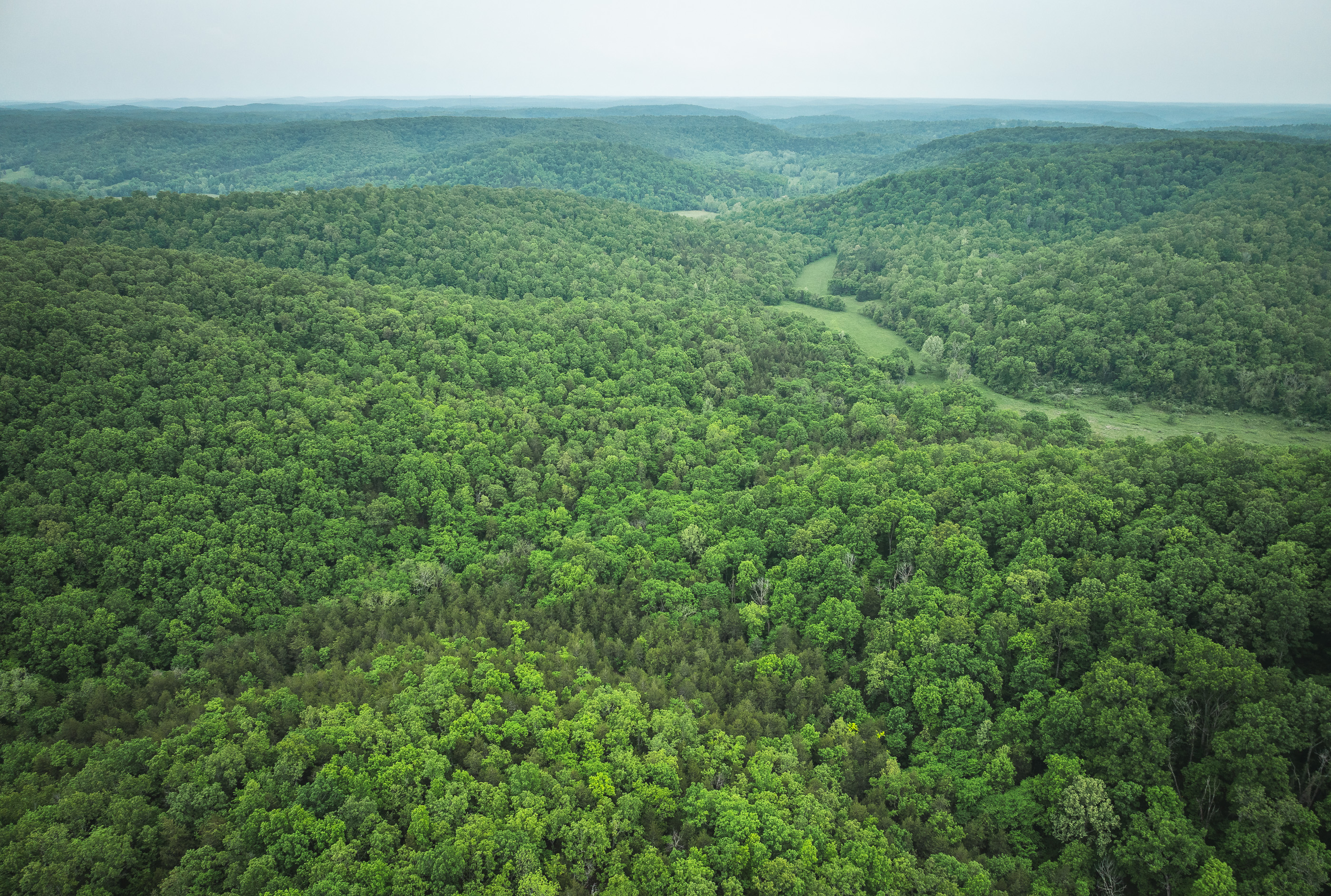 Pine Hollow Sportsmen