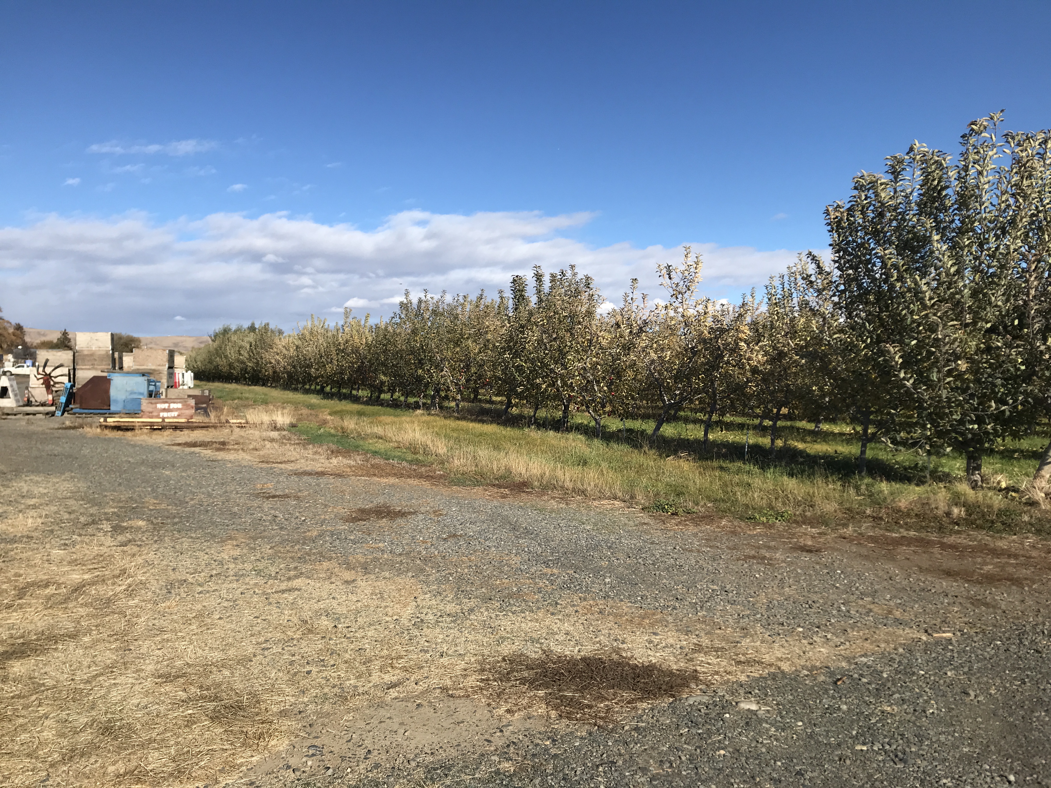 Apple Orchard w Equipment, House and Shops!