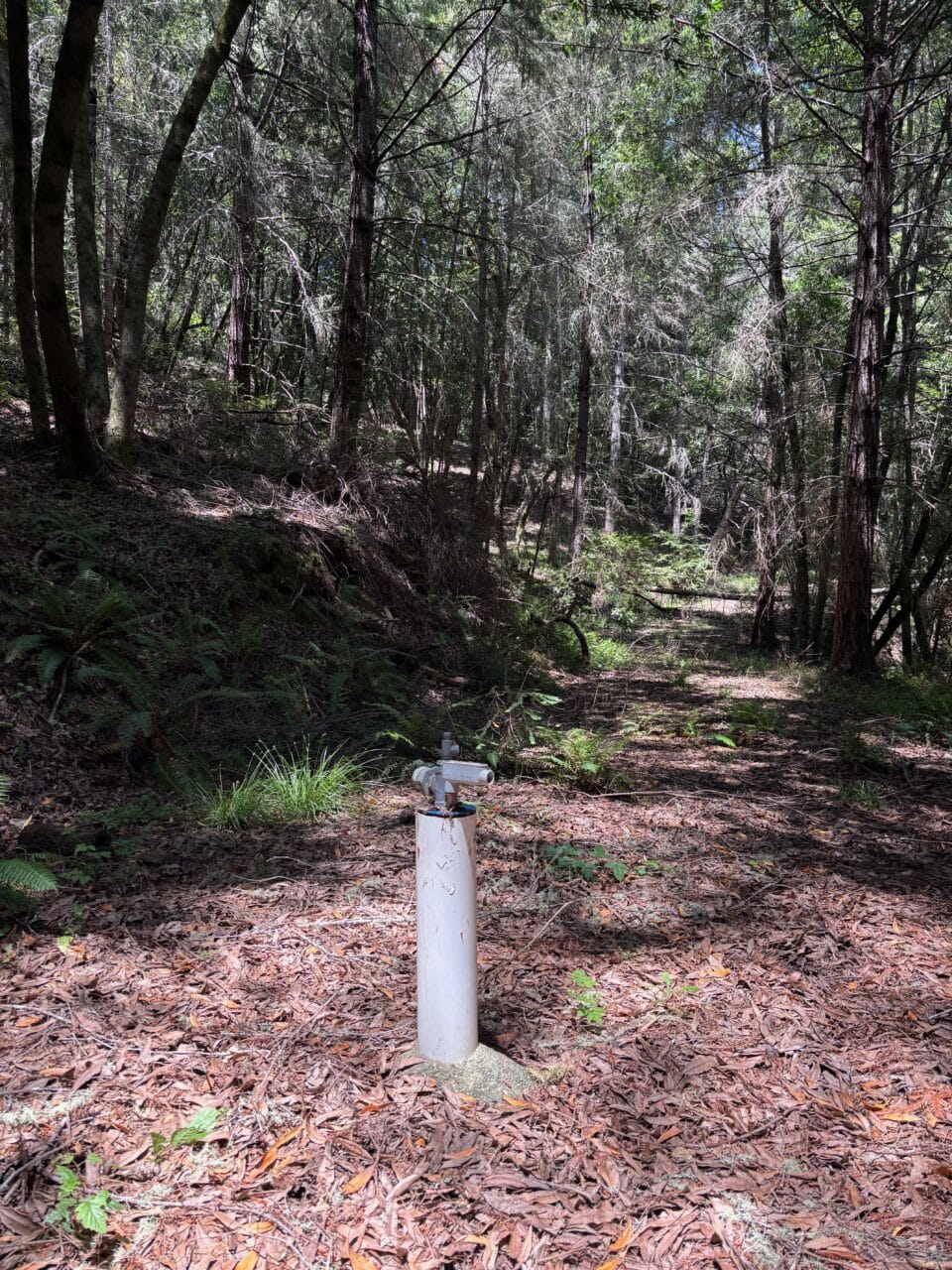 Listing Image 27