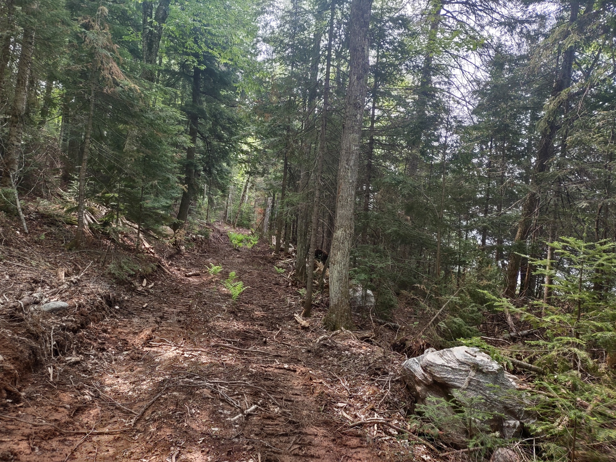 Michigan Private Lake Lot  50178194