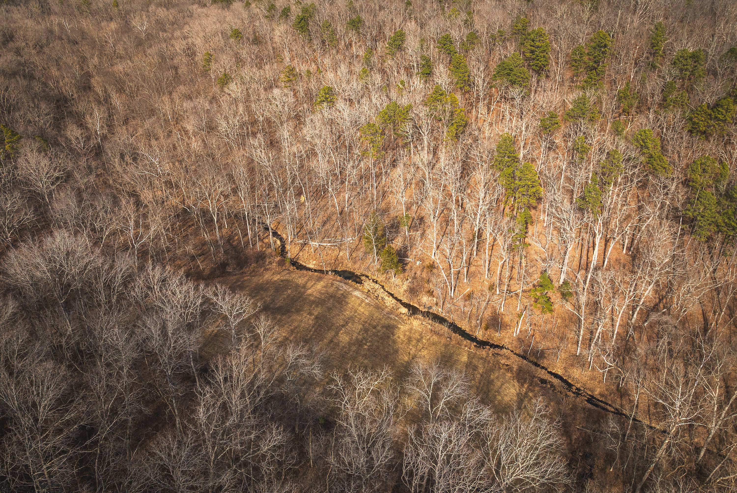 Curly Hole Camp at Peterball Spring