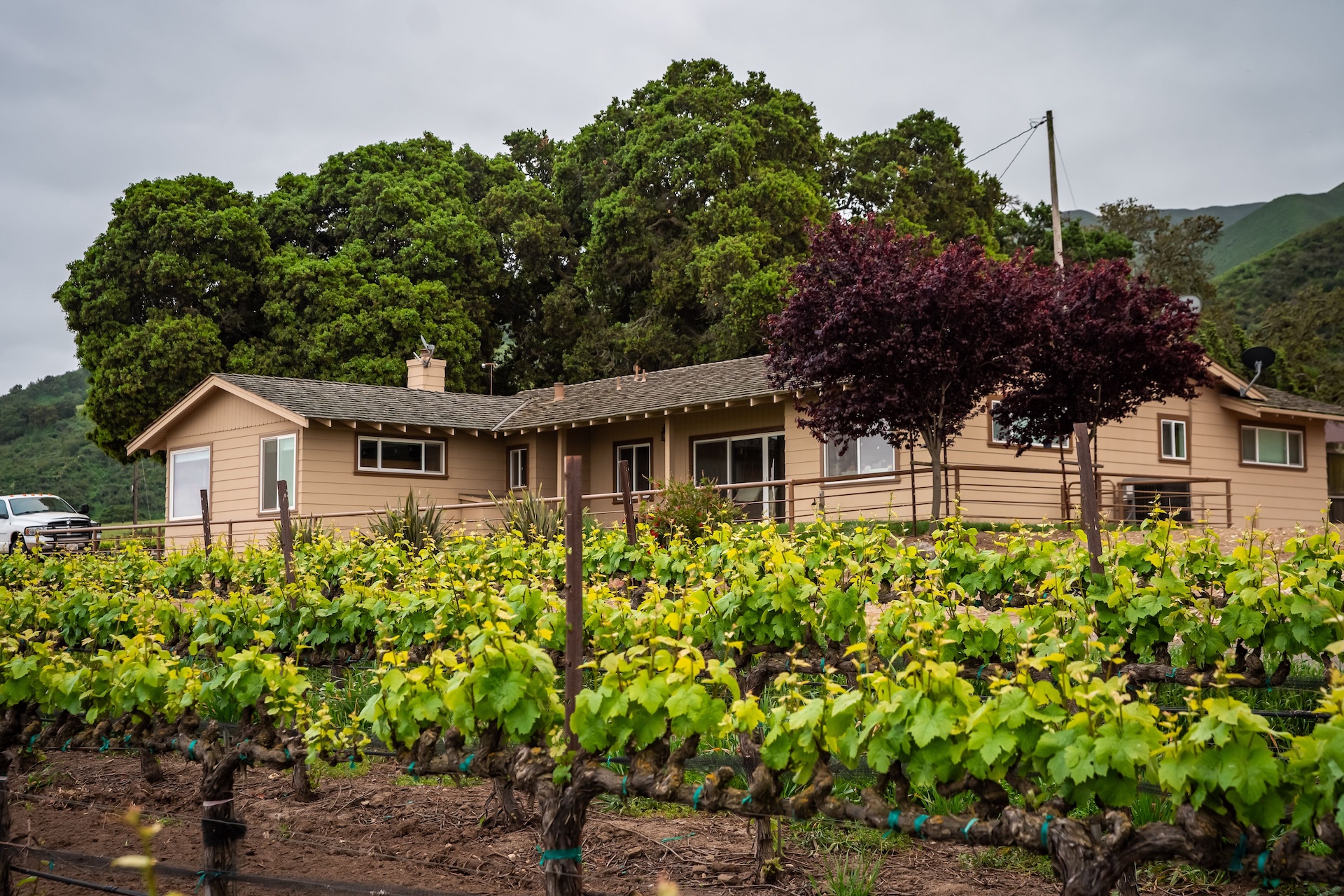 Boekenoogen Santa Lucia Highlands Vineyard