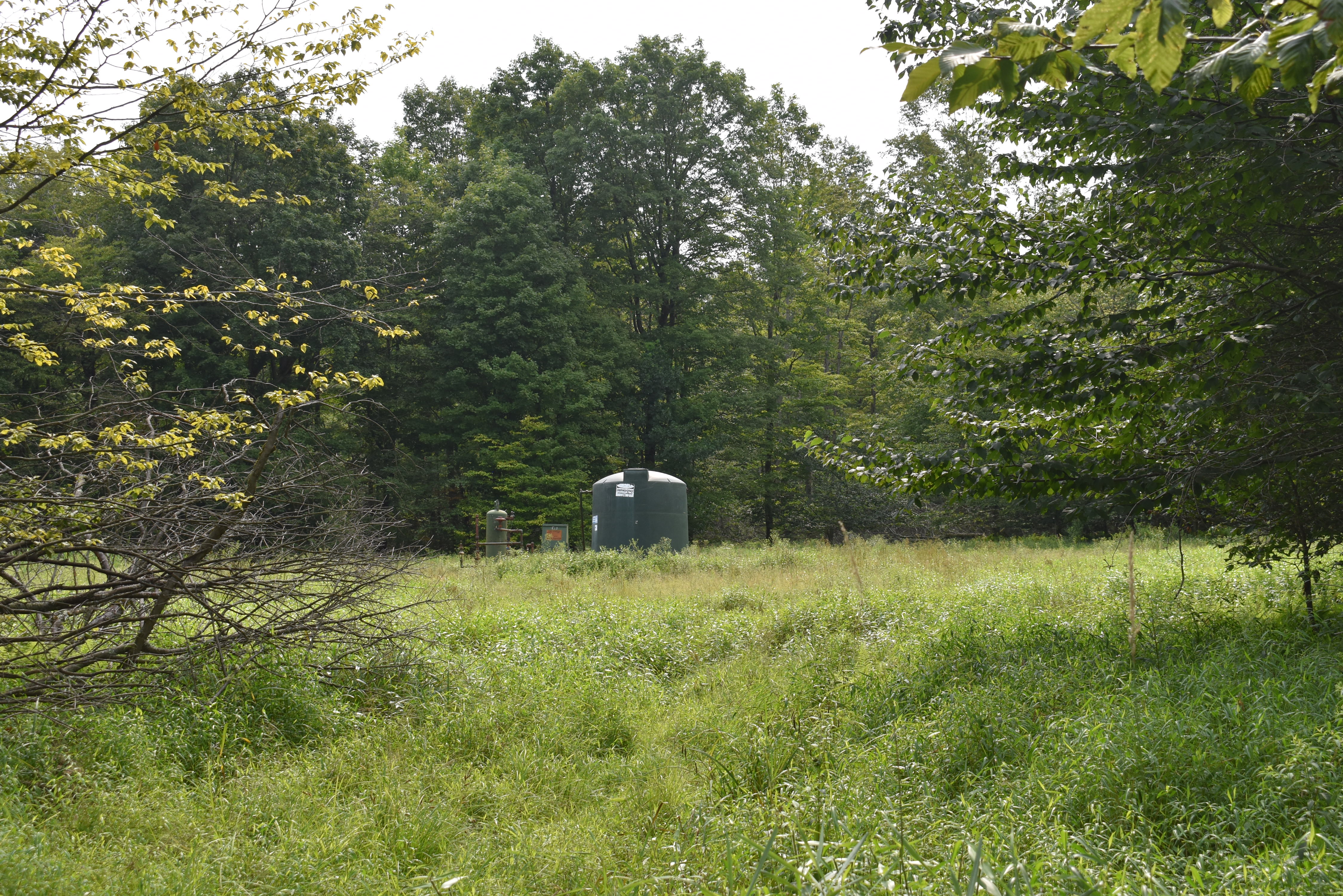 Listing Image 26