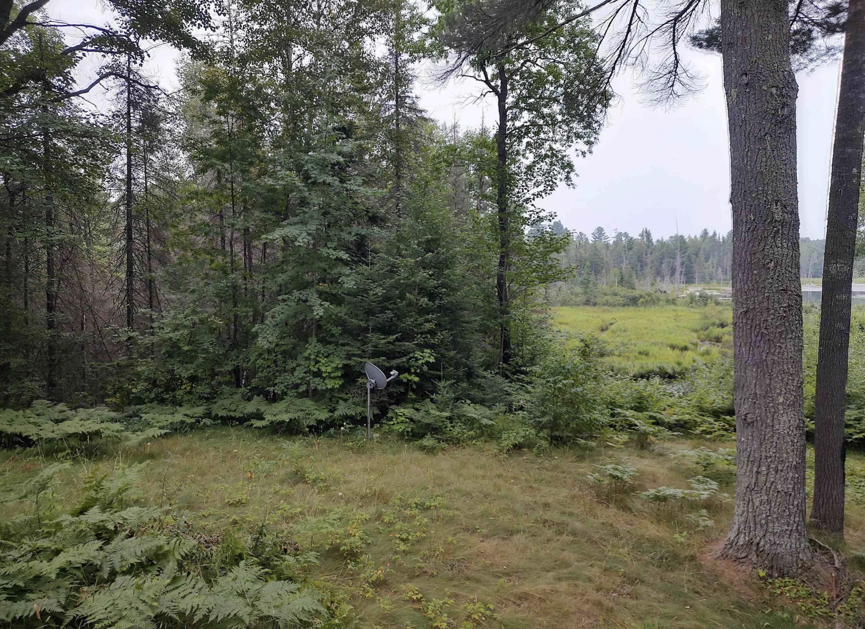 Baraga Wilderness Retreat 50185589