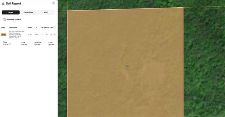 Listing Image 13