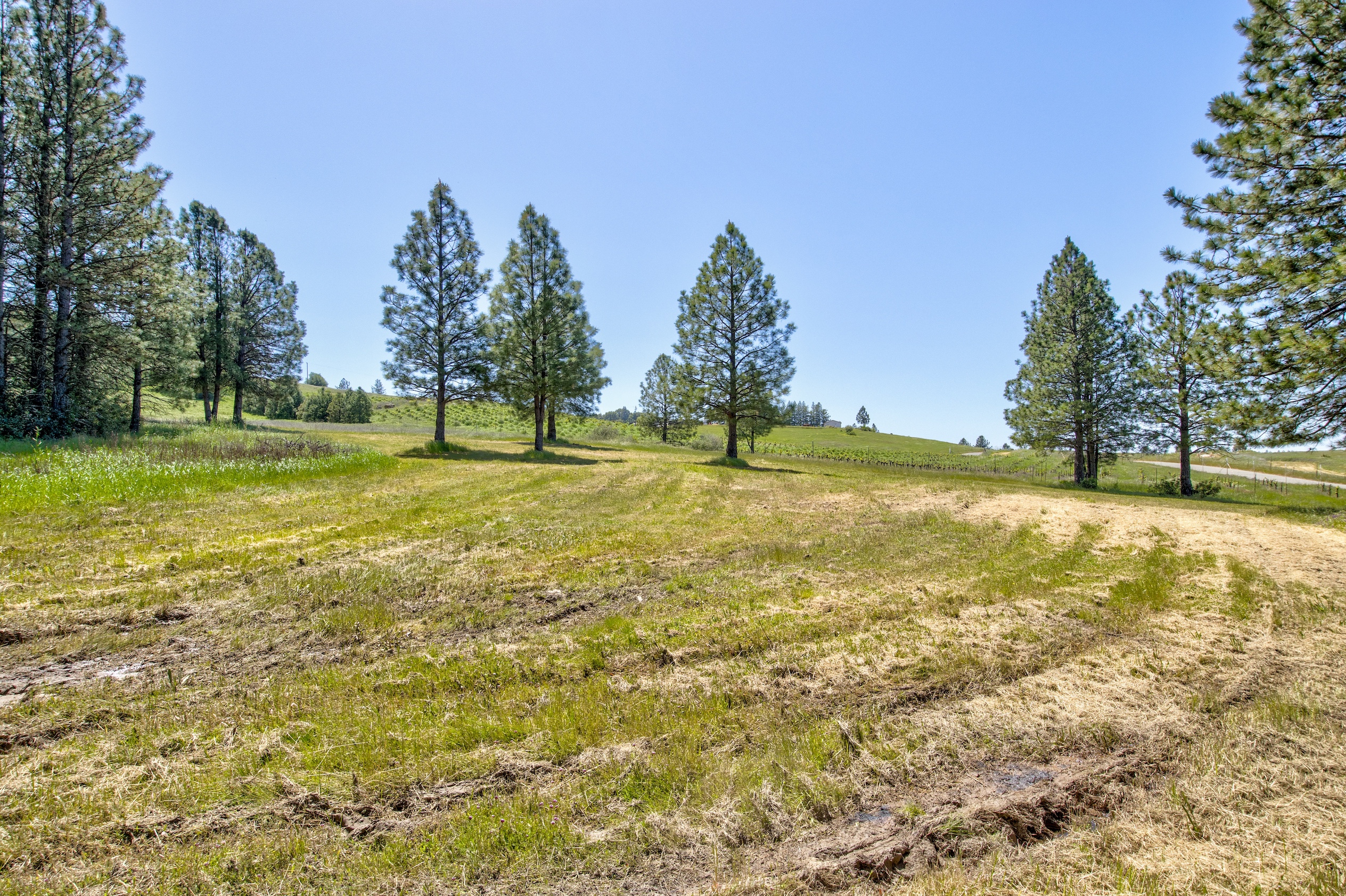 Listing Image 66