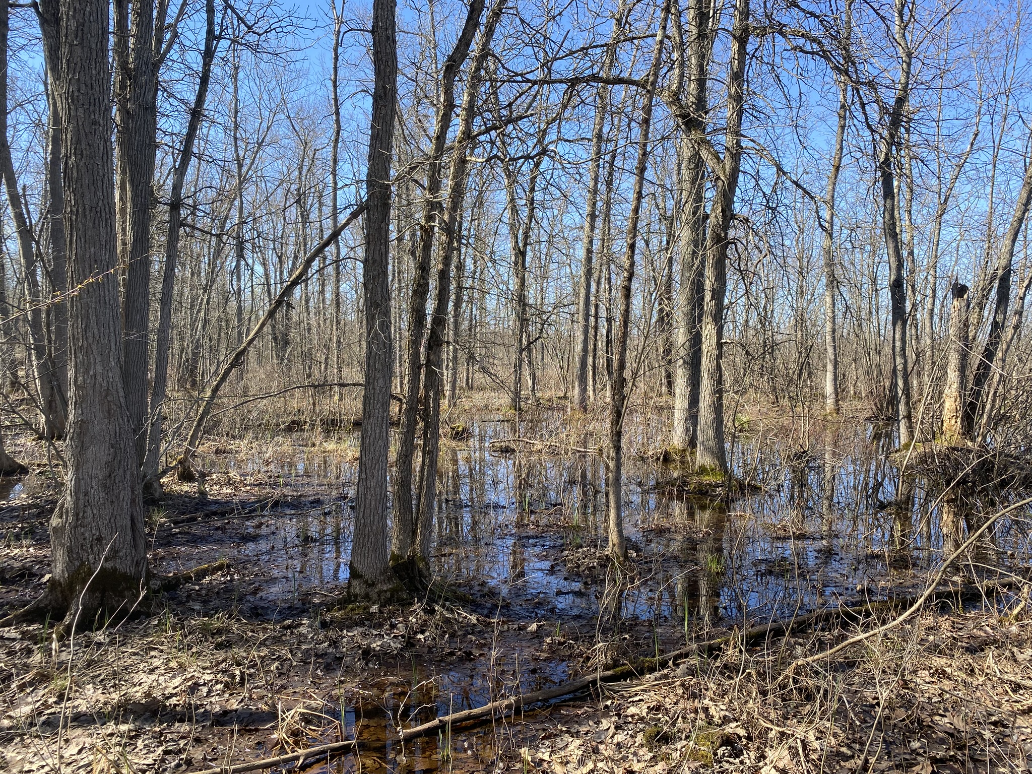 Listing Image 18