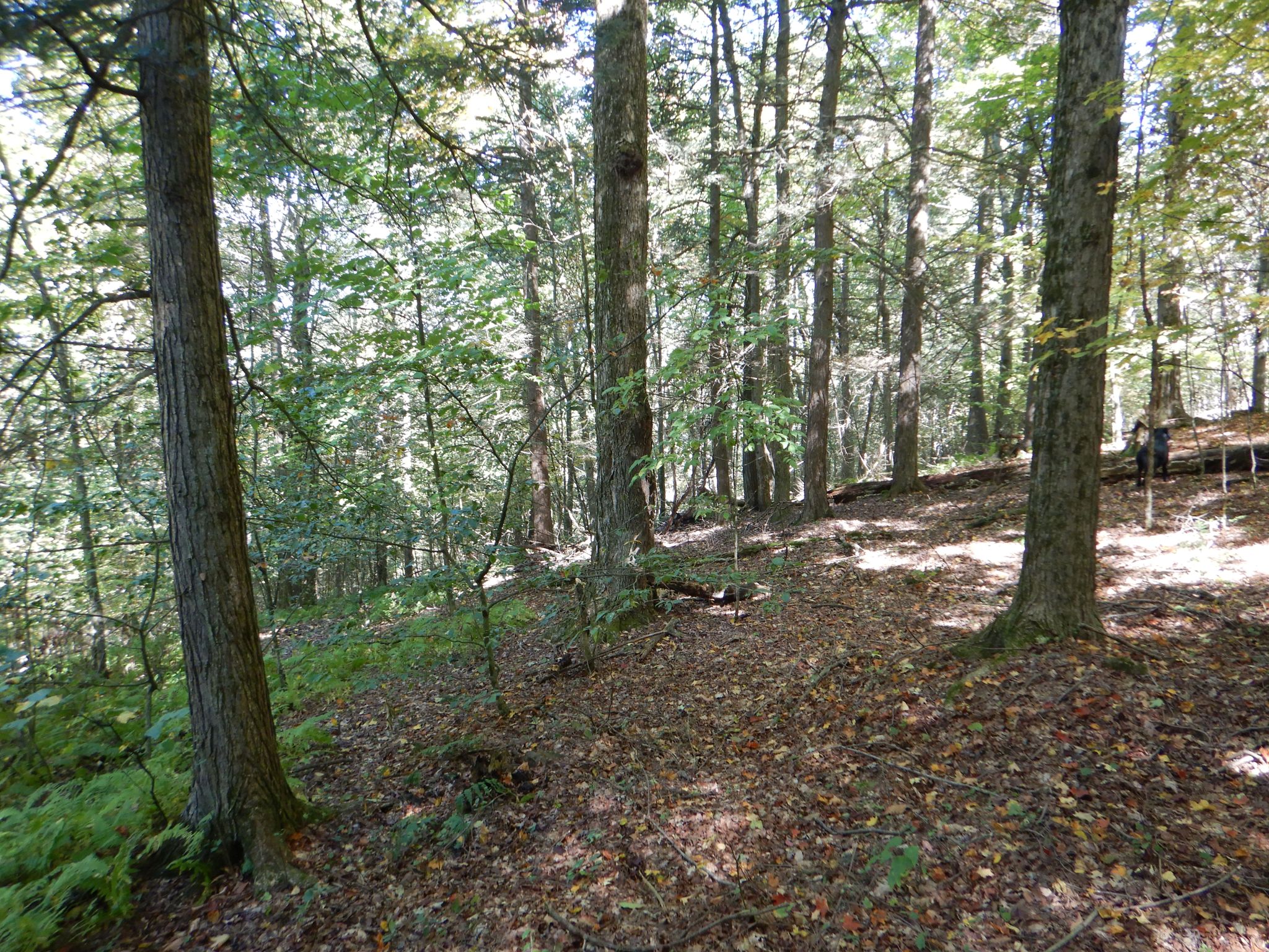 Listing Image 32