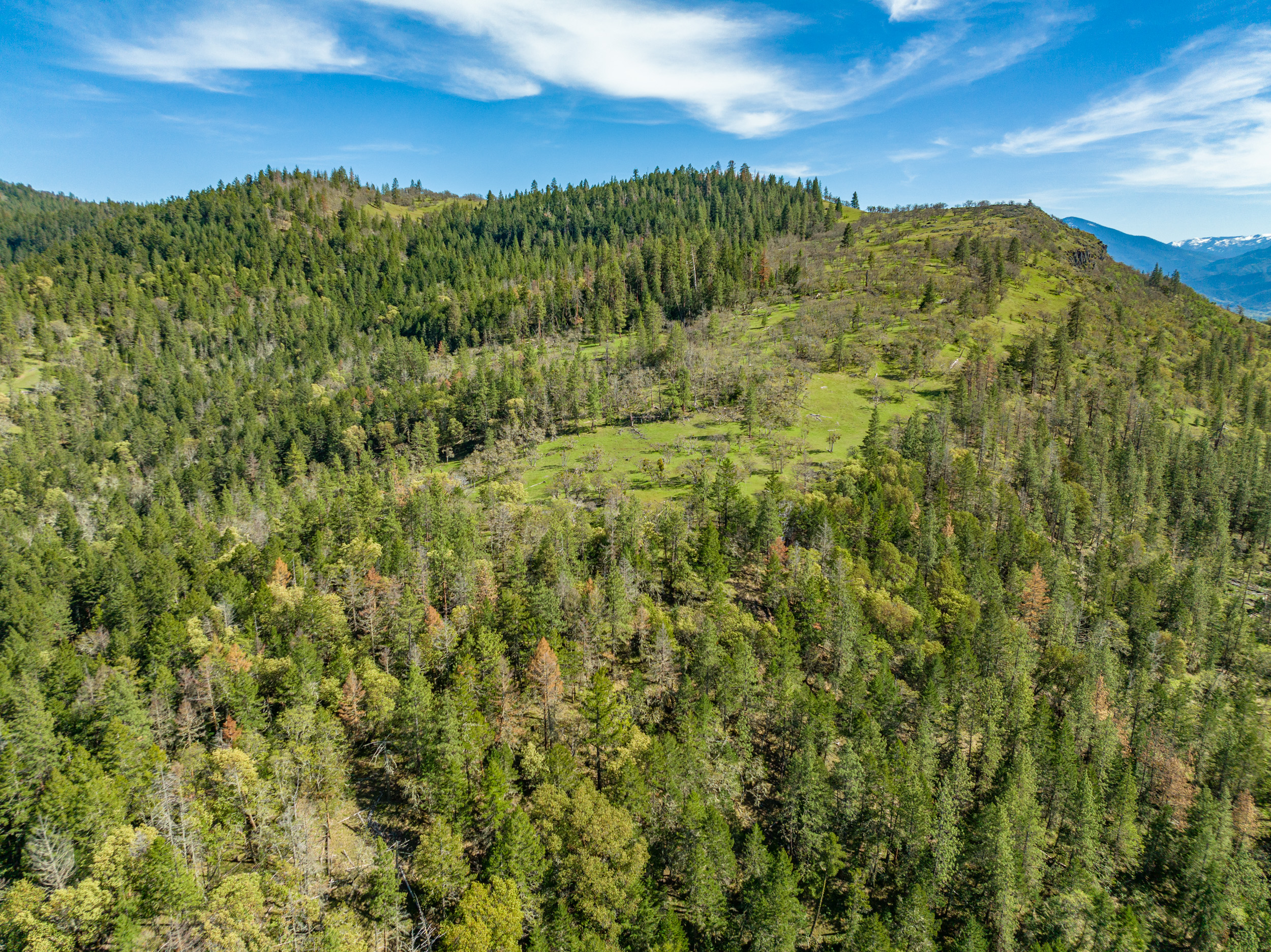 Mount Baldy Ranch