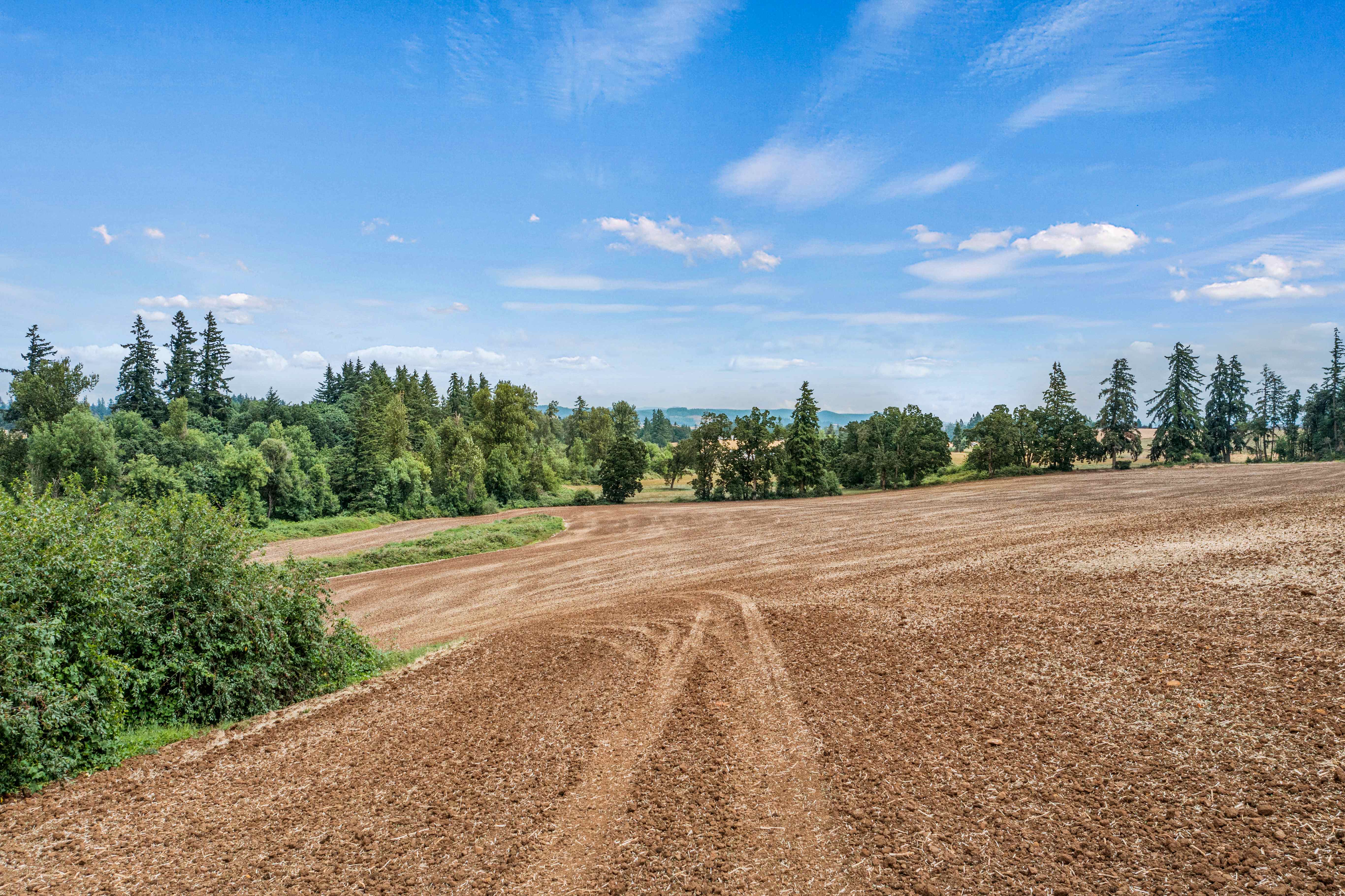 Sublimity 152 — Productive Willamette Valley Farm for Sale with Creek Frontage and Homesite Potential